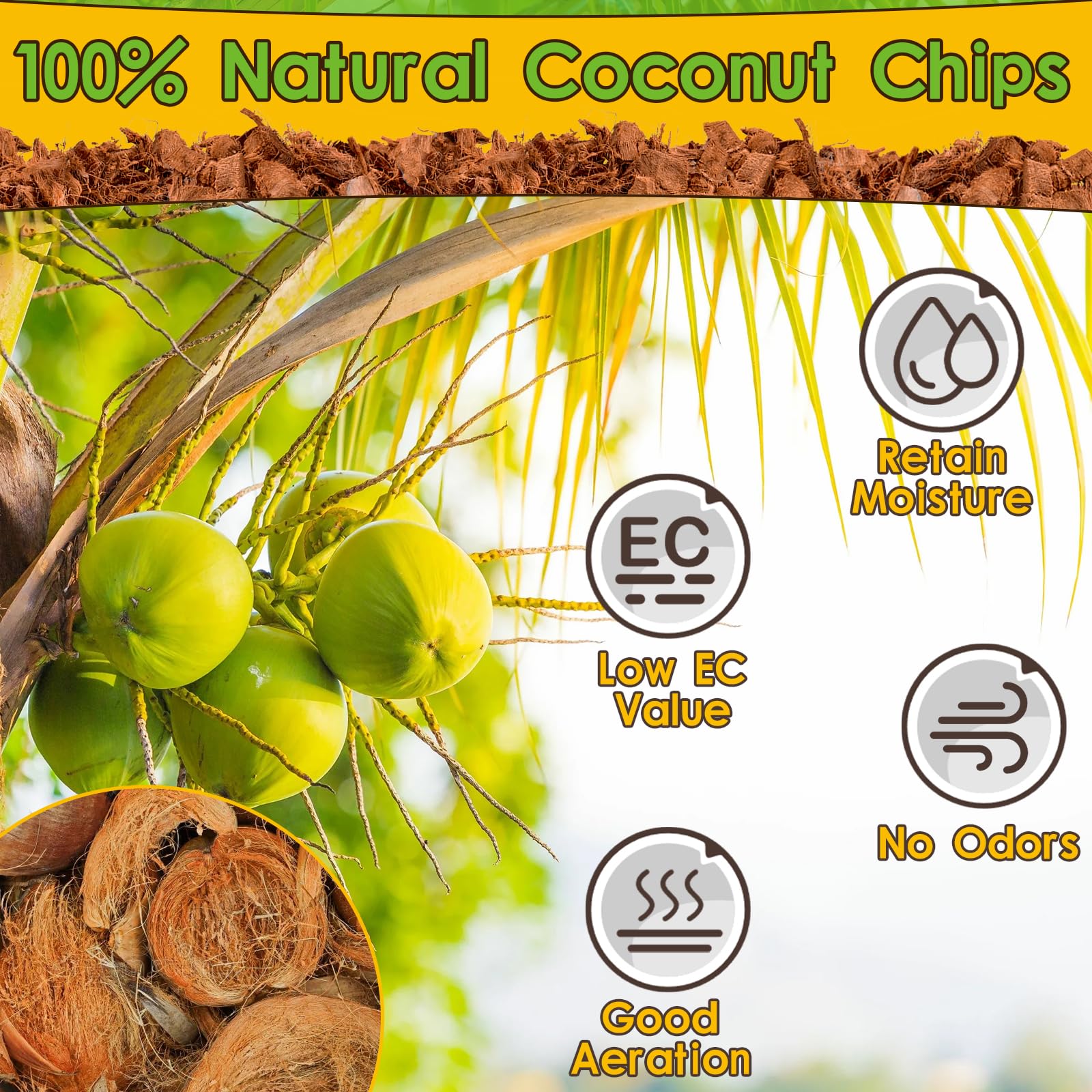 Halatool 6Pack Compressed Coconut Chips Brick Natural Coconut Husk For Reptiles Bedding Coco Coir Chips Terrarium Substrate For