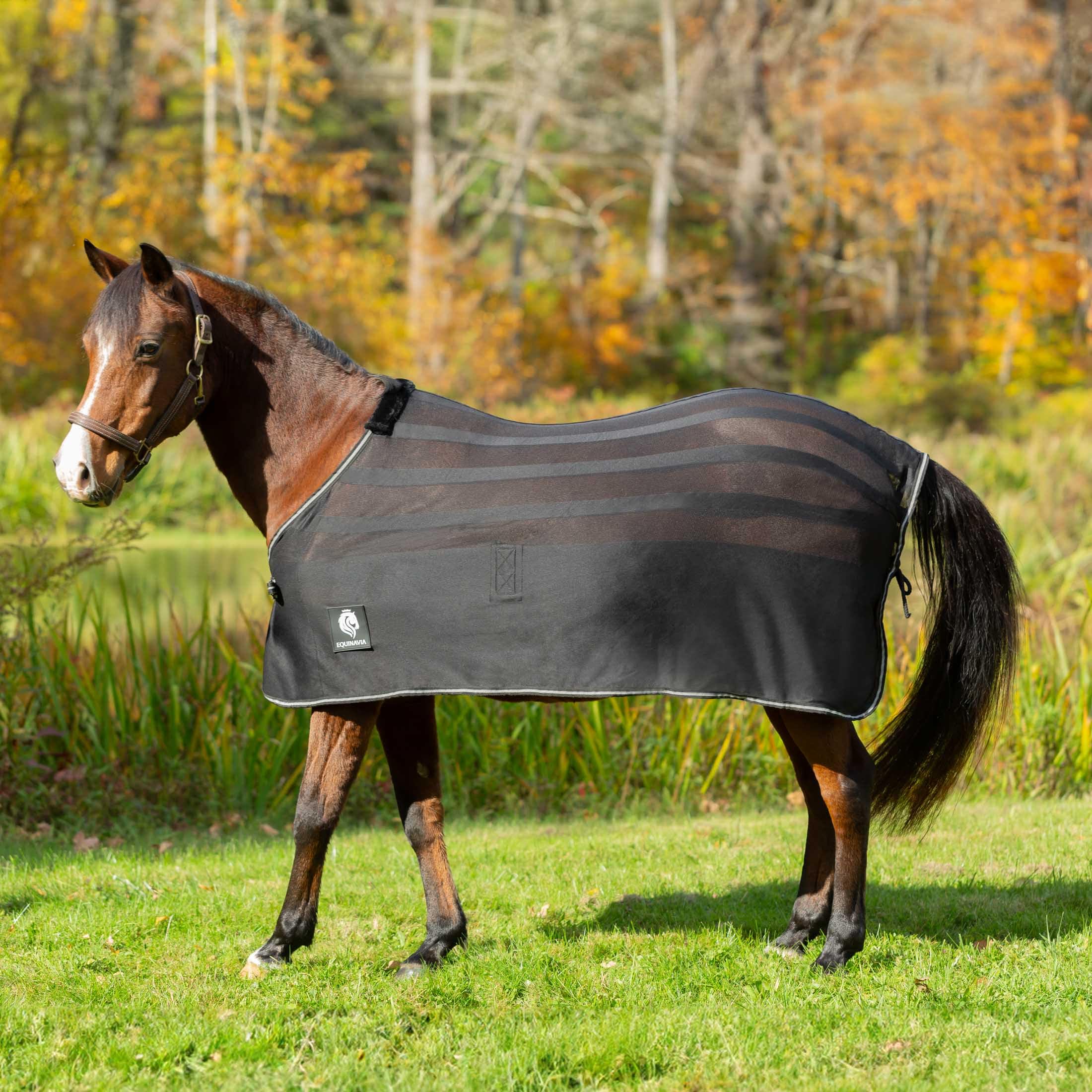 Equinavia Sefyr Breathable Lightweight Cooling Scrim Sheet - Black - M