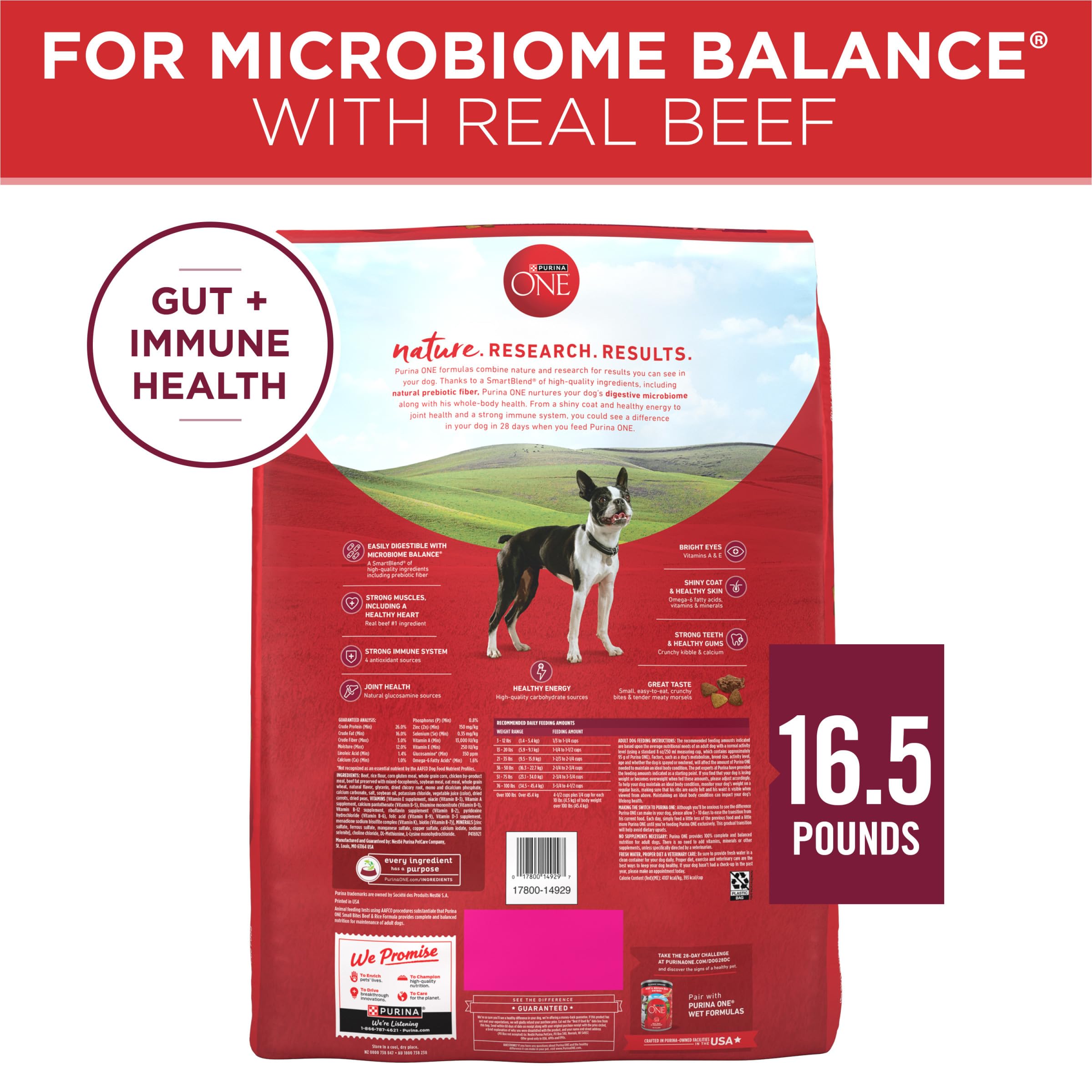 Purina ONE Small Bites Beef and Rice Formula Small High Protein Dry Dog Food Natural With Added Vitamins, Minerals and Nutrients