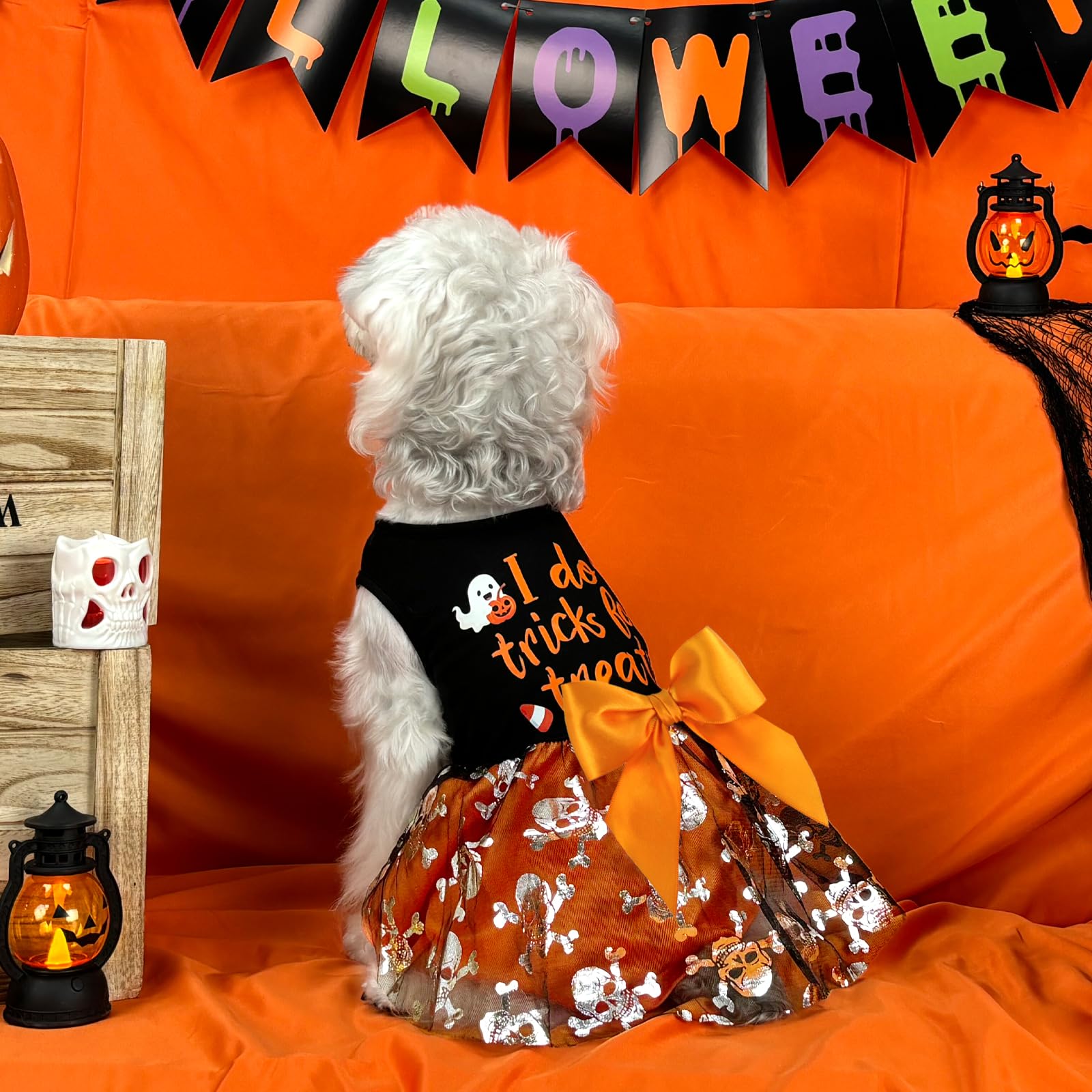 Xpudac Halloween Dog Dress Costumes For Small Dogs Girl Tulle Dress Dog Clothes Skull Holiday Pet Costume Cat Outfits, Orange-Xs