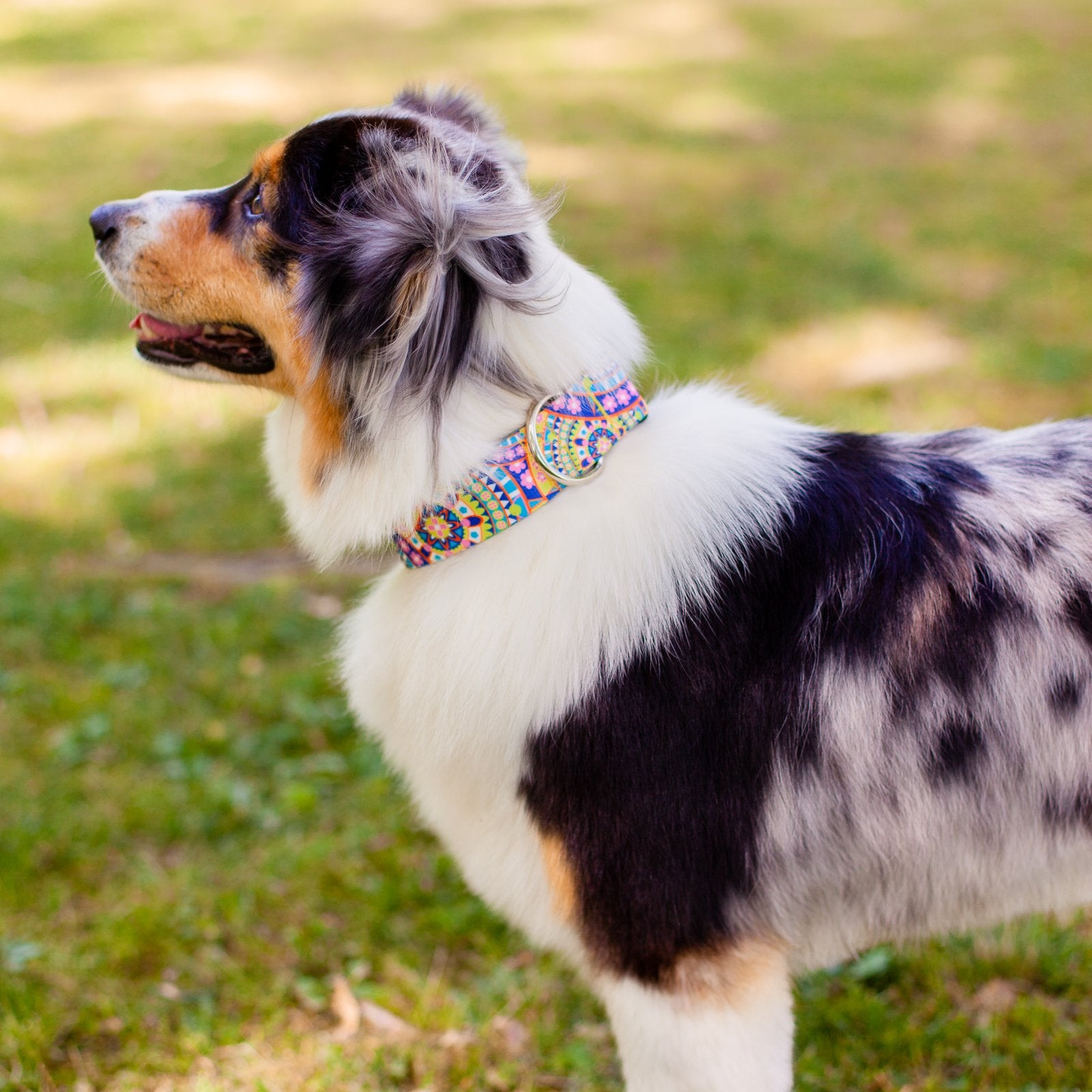 Country Brook Petz - Yellow Boho Mandala Martingale Dog Collar - Groovy Collection Featuring Far Out Designs (5/8 Inch, Small)