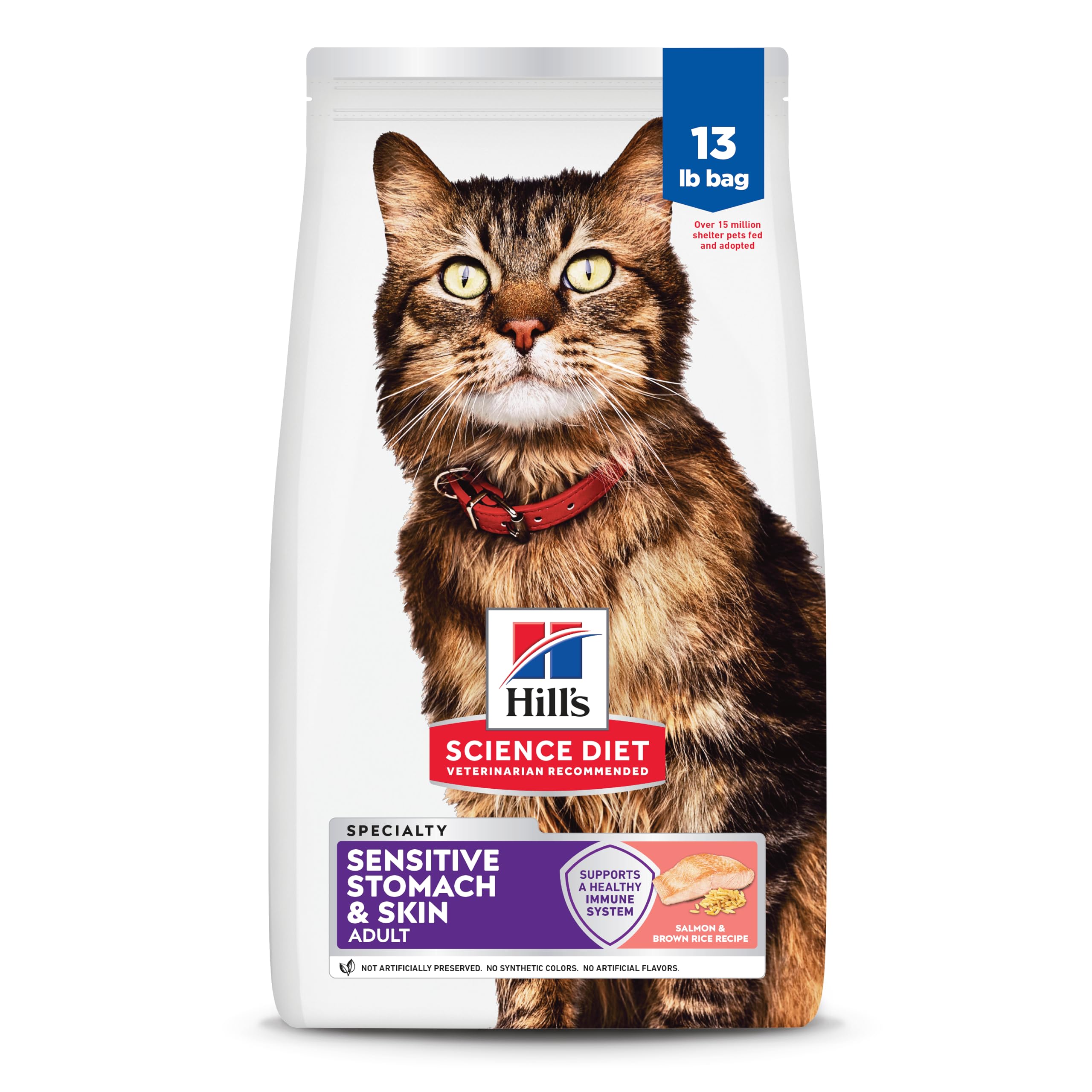 Hills Science Diet Adult 1-6 Sensitive Stomach & Skin Dry Cat Food, Salmon Recipe, 13 lb. Bag