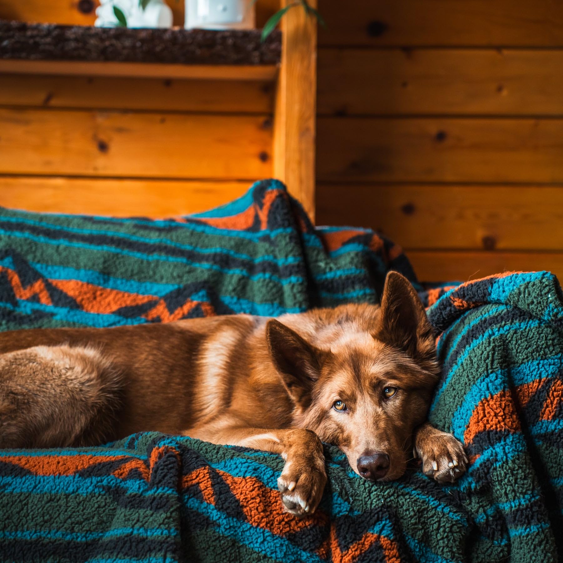 Wilderdog Sherpa Fleece Waterproof Dog Blanket - 60'' X 90'' - Olive