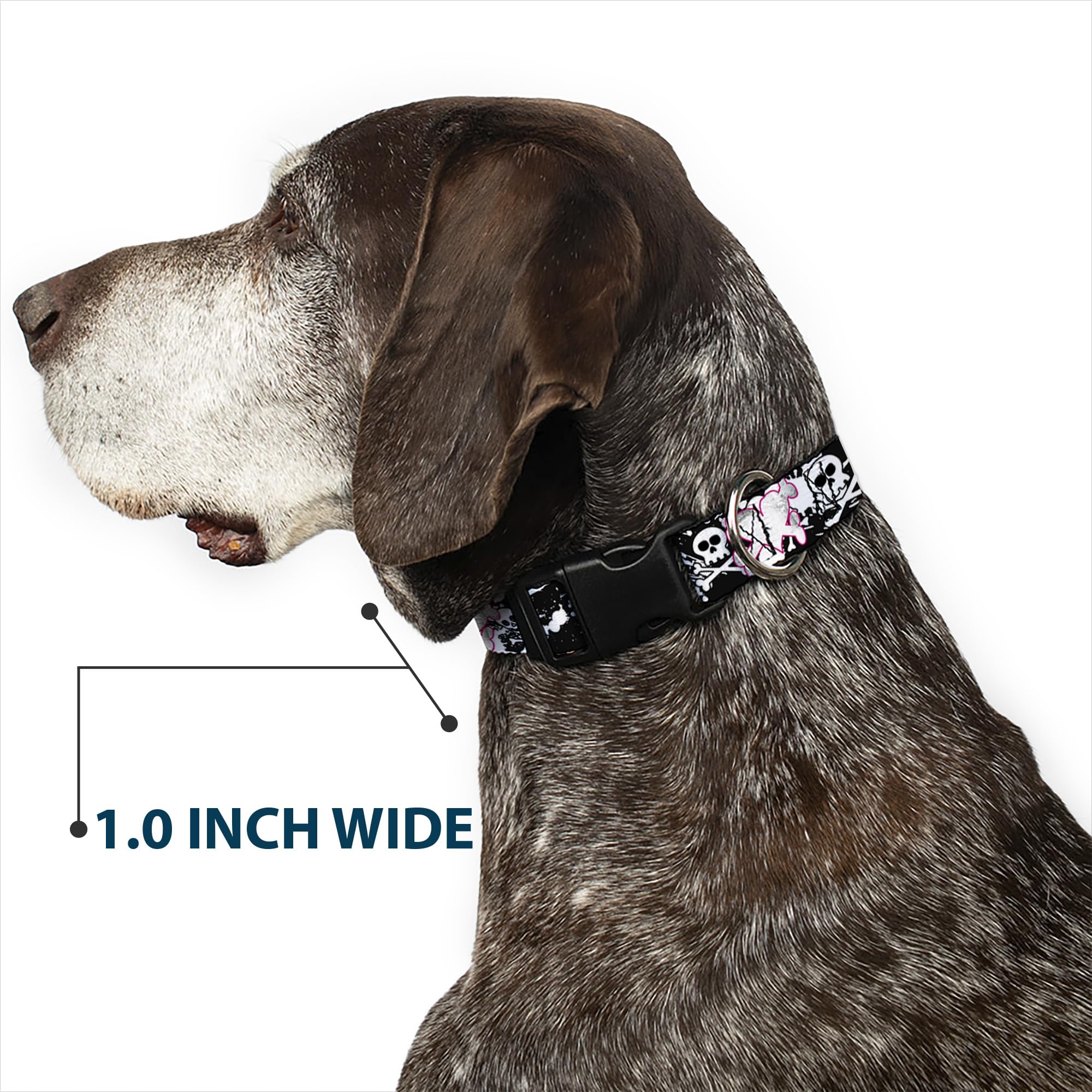 Buckle-Down 13-18 Punk Heart & Cross Bones with Skulls & Splatter Black/White Plastic Clip Collar, Wide Small