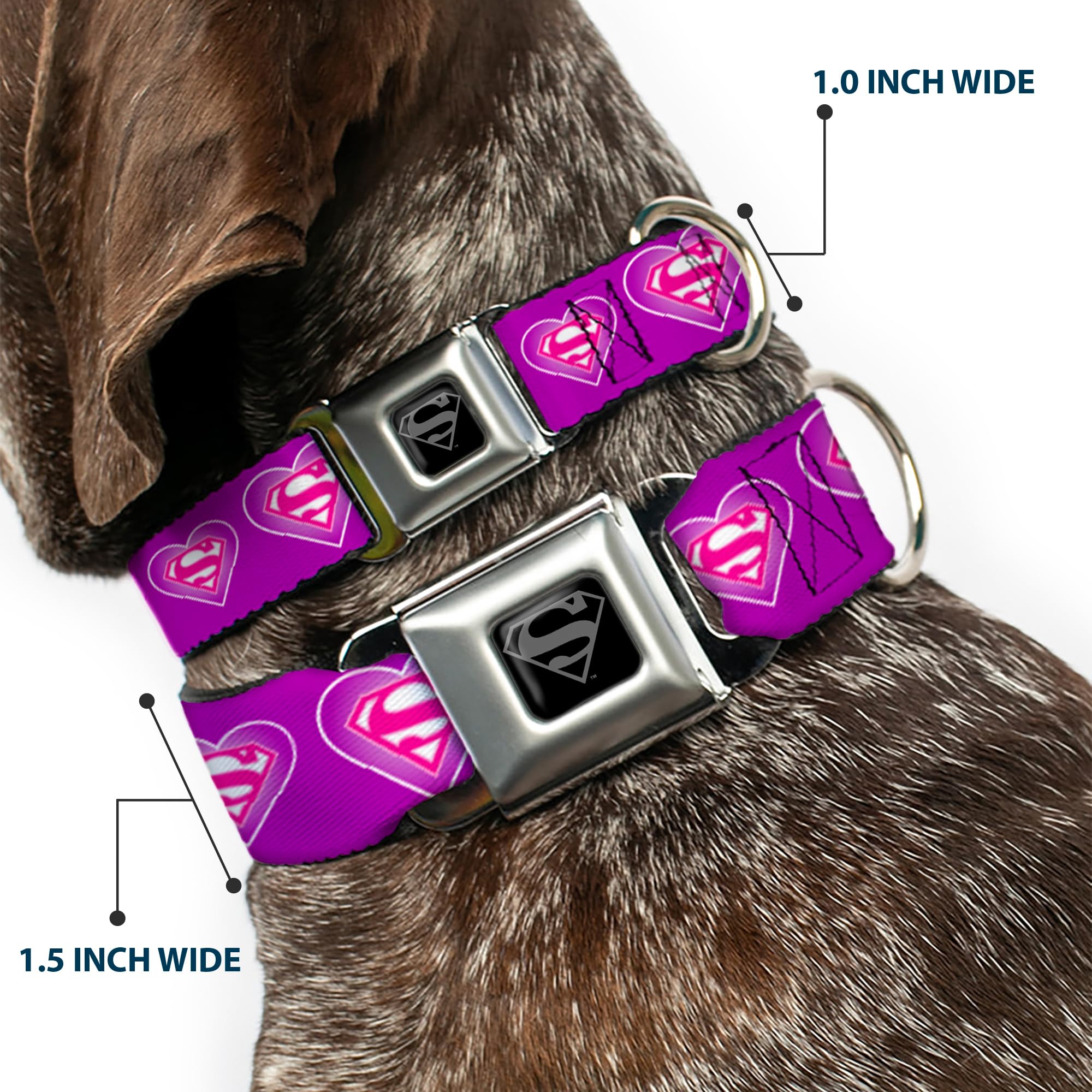 Buckle-Down Seatbelt Buckle Dog Collar - Superman Logo In Heart Purple/White/Pink - 1' Wide - Fits 11-17' Neck - Medium