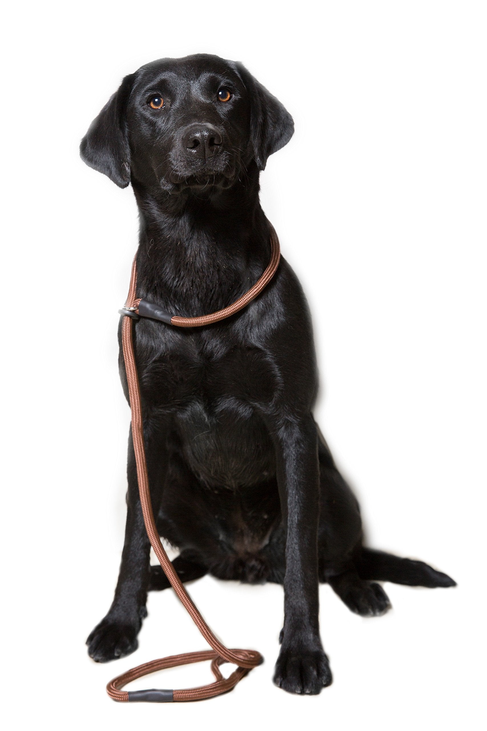 Dog & Field Deluxe Gundog Slip Leash - Brown. Super Soft Braided Nylon Slip Leash For Dogs With Rubber Stopper, Easy To Slip On,
