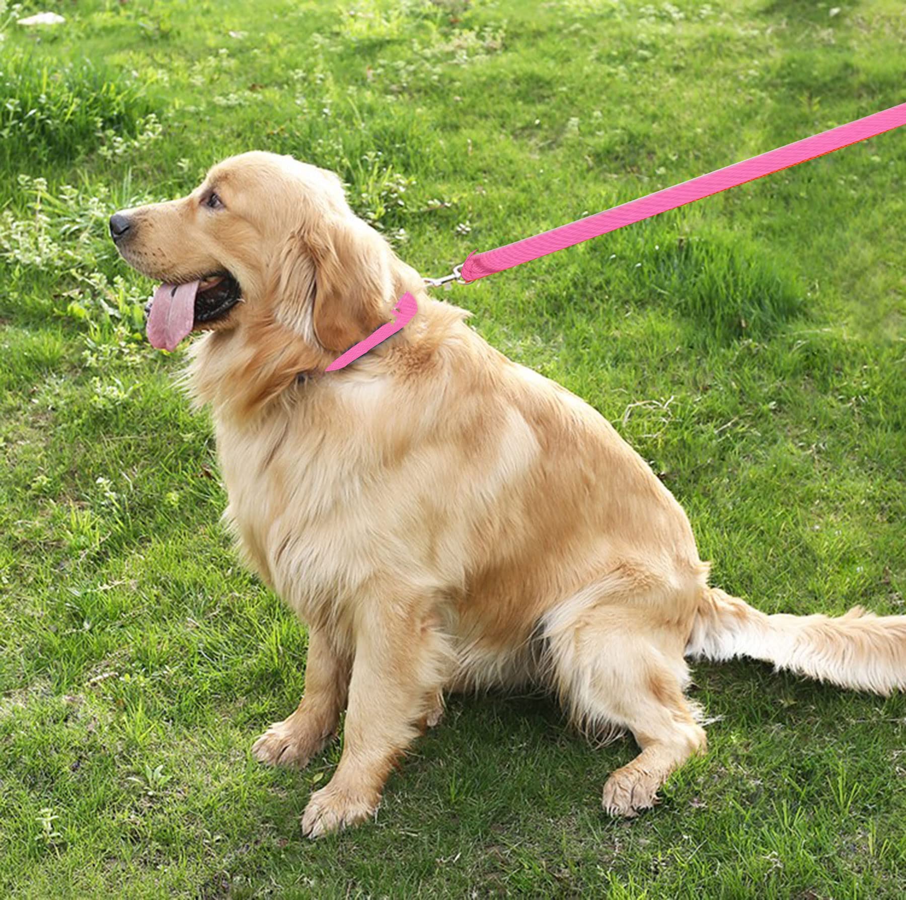 Taian 6 Ft Strong Dog Leash, Nylon Dog Leashes For Small Medium Large Dogs