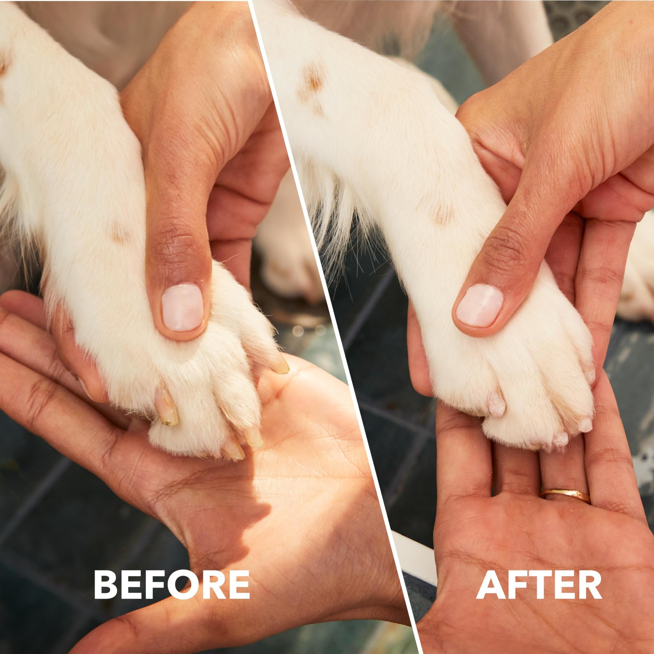 Dremel PawControl 7760-PGK Dog Nail Grinder - Cordless & Rechargeable Grooming Tool for Pets - Safe for Dogs, Cats, & Small Animals