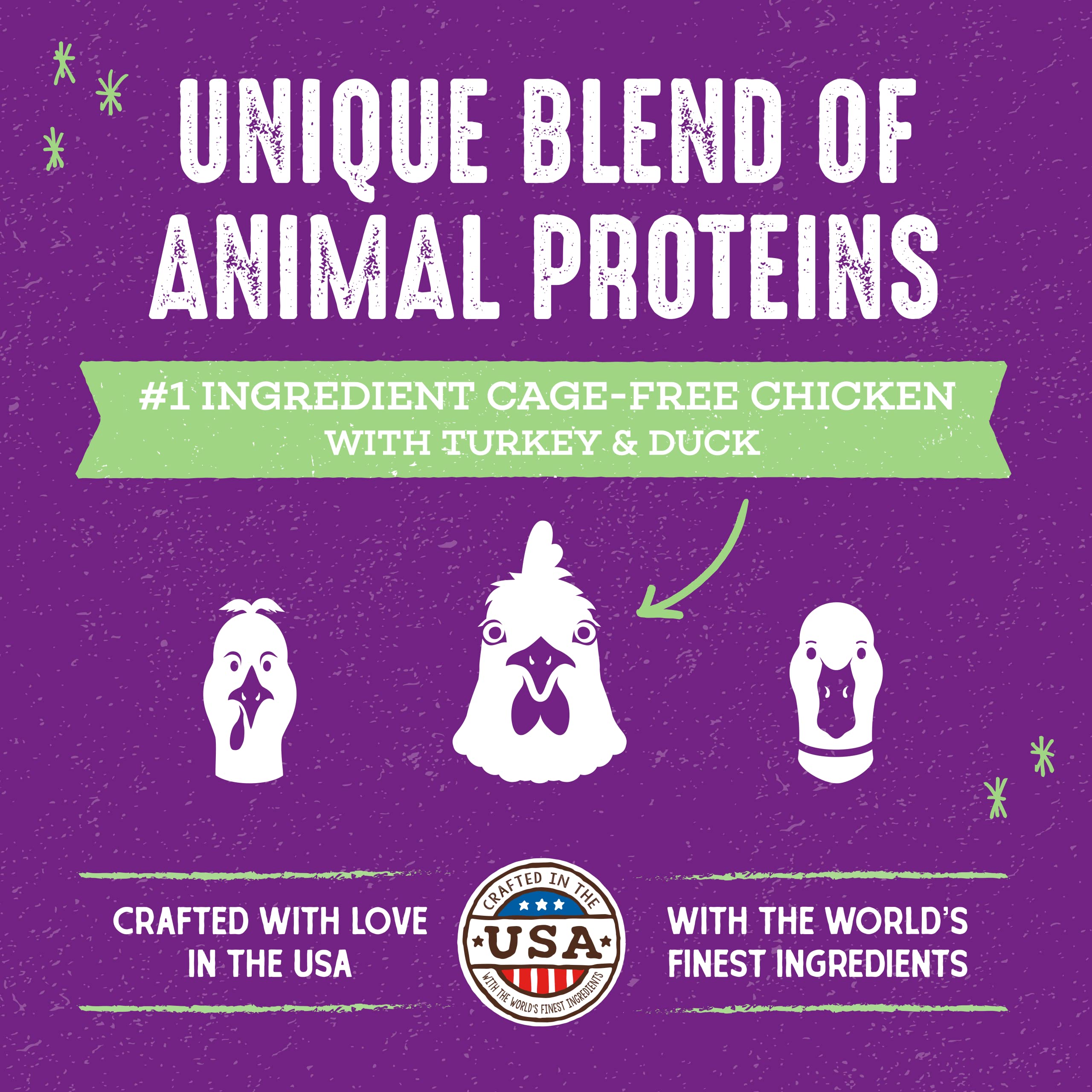 Stella & Chewys Raw Blend Premium Kibble Cat Food - Grain Free, Protein Rich Meals - Cage-Free Poultry Recipe - 5 lb. Bag