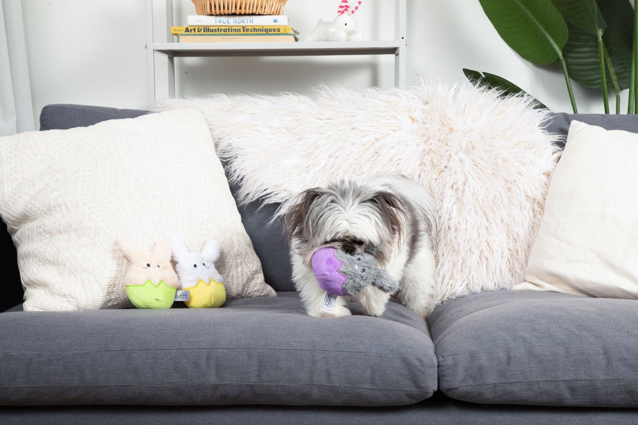 Midlee Easter Bunny Egg Dog Toys - Set Of 3
