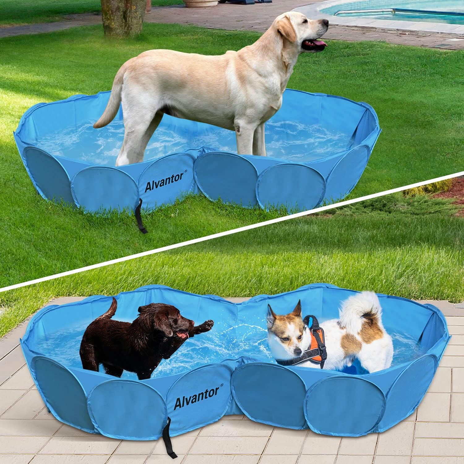 Alvantor Pet Double Swimming Pool Dog Bathing Tub, Hard Plastic Kiddie Pools, Cat Puppy Shower Spa Foldable Portable Indoor Outd