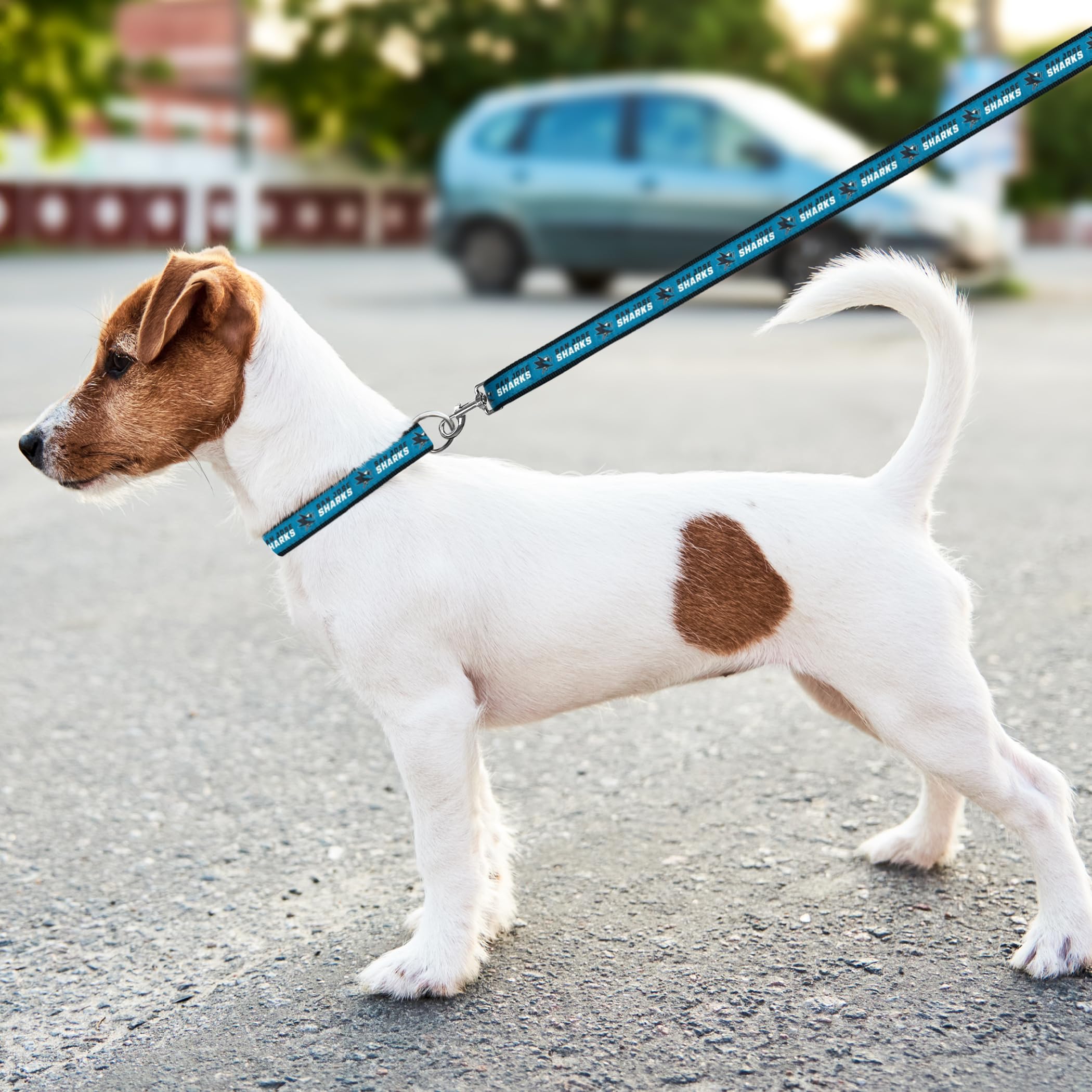 Pets First NHL SAN Jose Sharks Leash for Dogs & Cats, Large. - Walk Cute & Stylish! The Ultimate Hockey Fan Leash!, 6 ft Long x