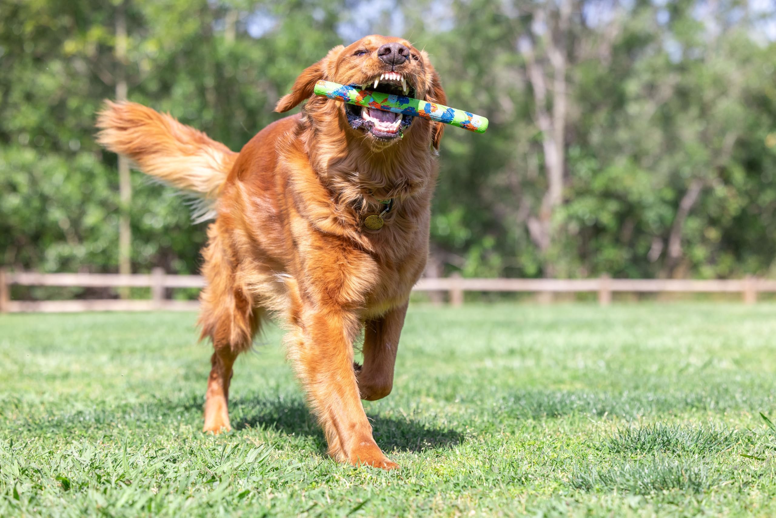 Chuckit! Ecofetch Fetch Stick Dog Toy, Pack Of 1, For All Breed Sizes (Ecofetch Stick)