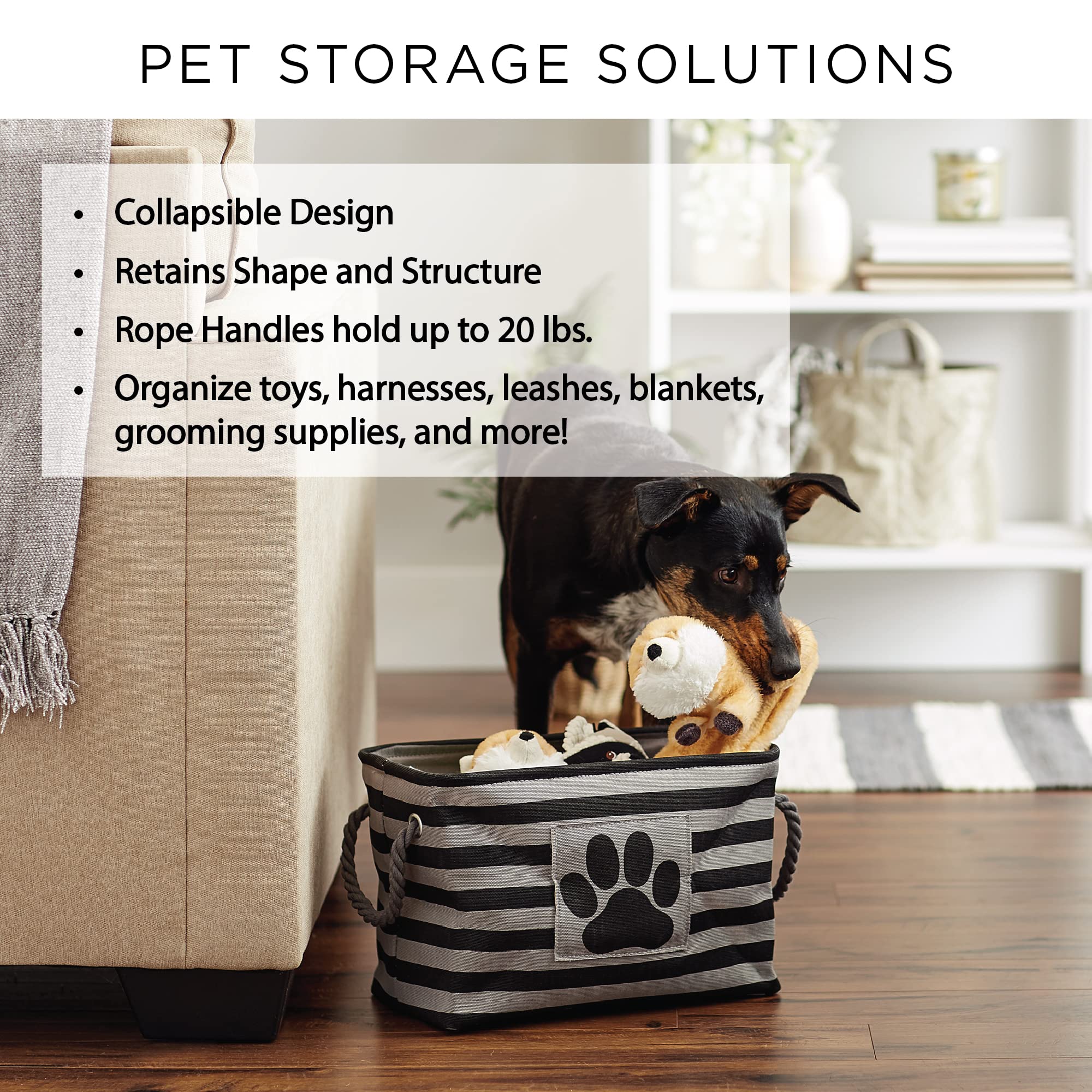 Bone Dry Pet Storage Collection Lattice Paw Print, Large Rectangle, Nautical Blue