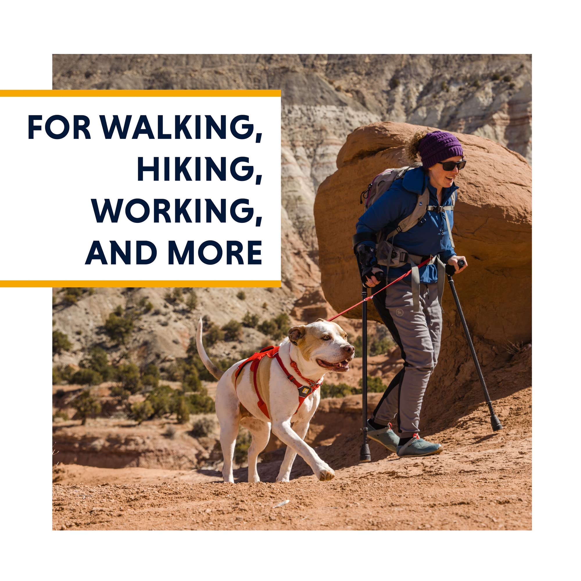Ruffwear, Web Master, Multi-Use Support Dog Harness, Hiking And Trail Running, Service And Working, Everyday Wear, Purple Rain, Xx-Small
