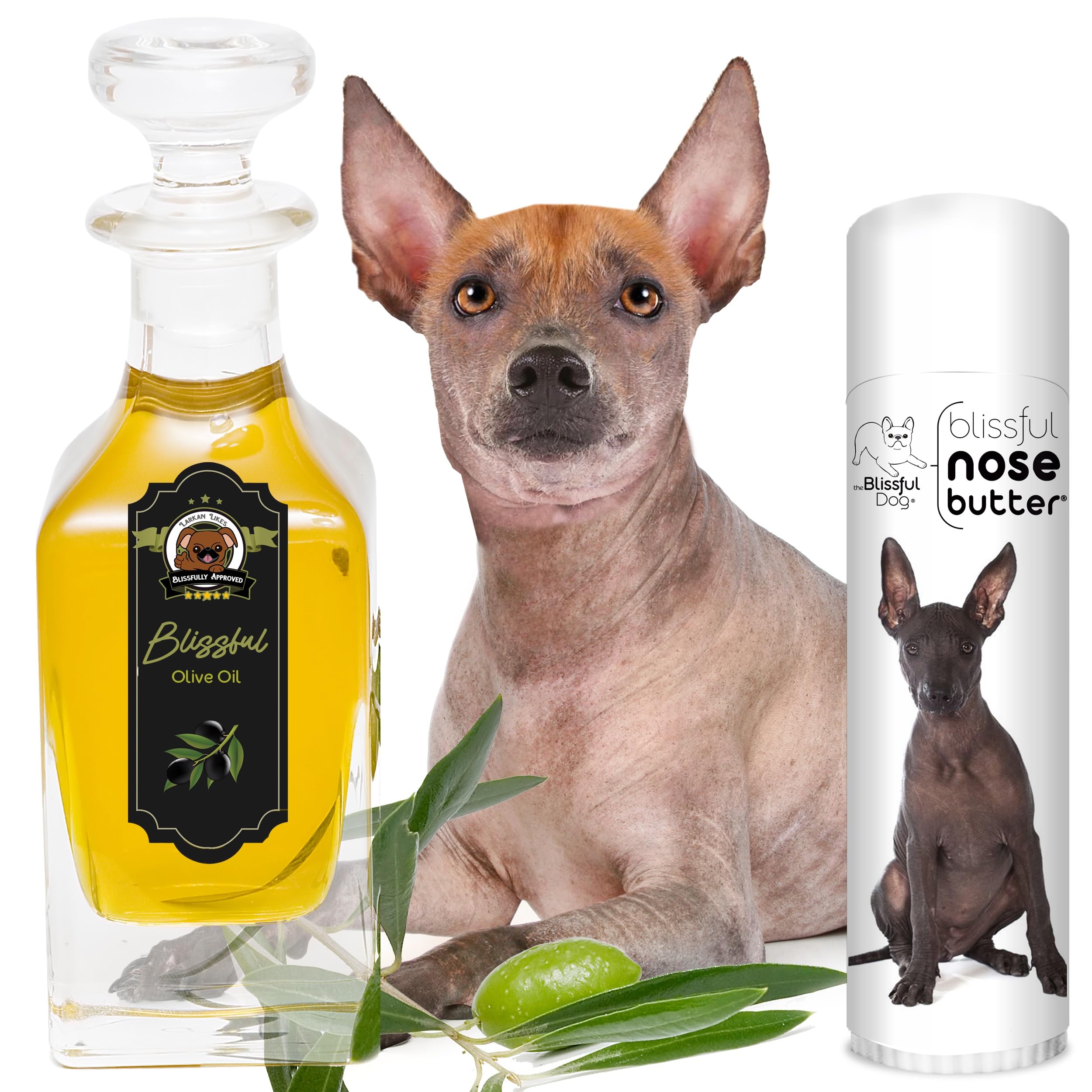 The Blissful Dog Xoloitzcuintli Unscented Nose Butter - Dog Nose Butter, 0.50 Ounce