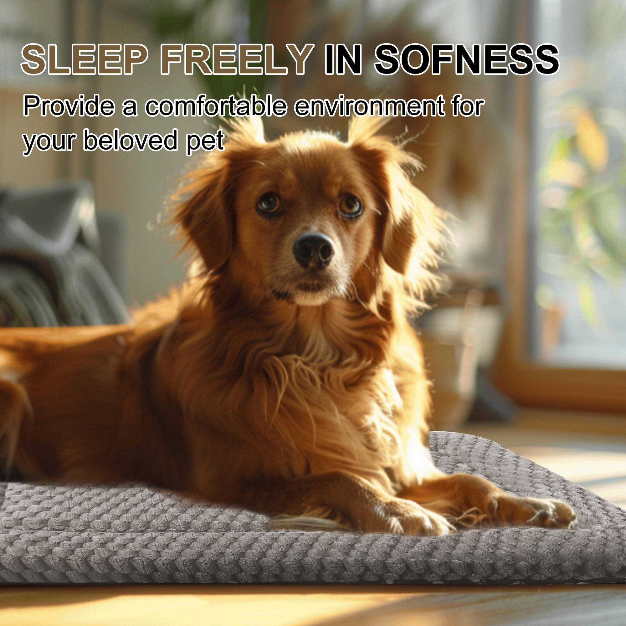 Dog Bed Crate Mat, Soft Durable Washable Anti-Slip Kennel Pad for Dogs & Cats, Reversible (Light Gray, M(30*20*1.5))