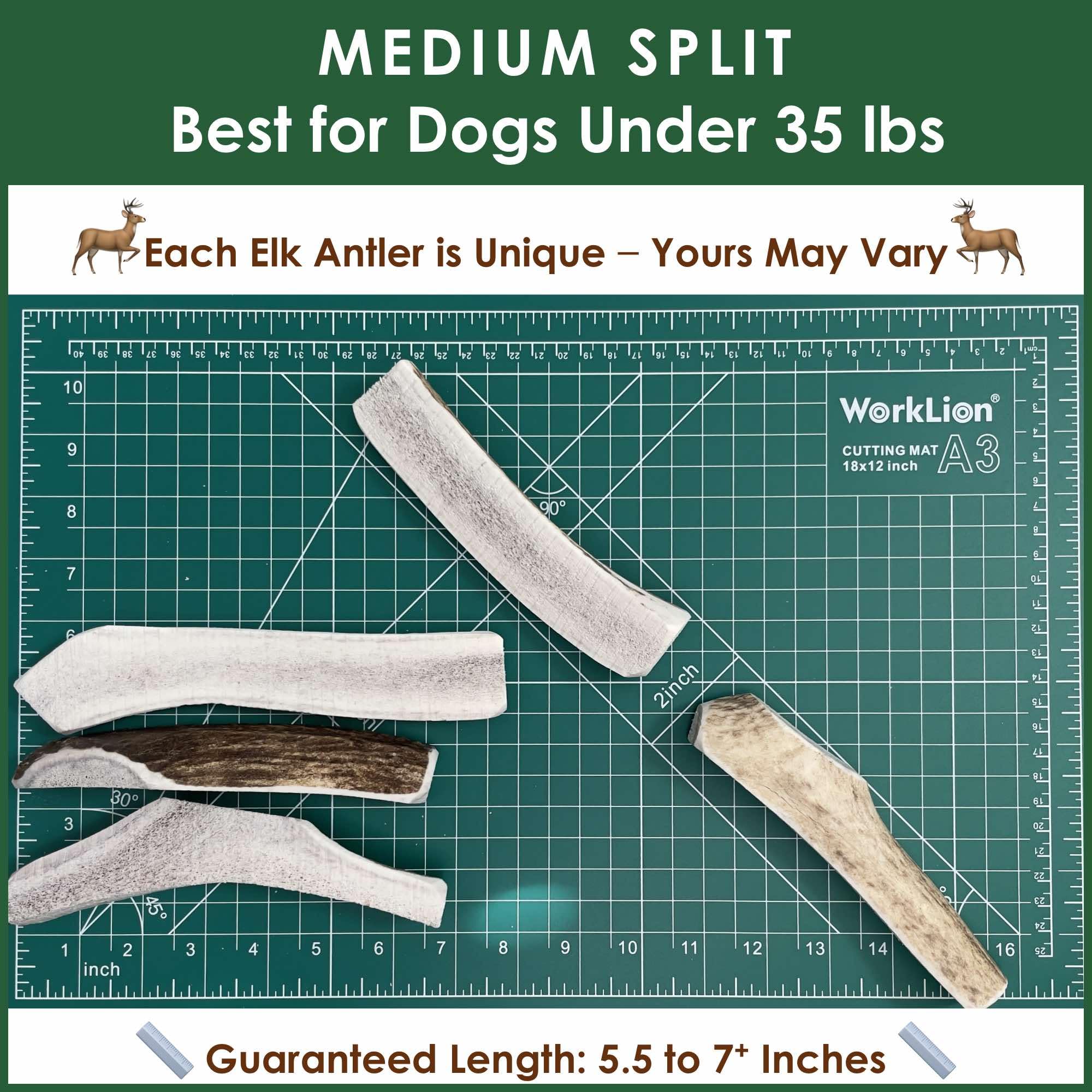 Deluxe Naturals 2-Pack Medium Split Elk Antler Dog Chews (5.5 to 7+ in) - All Natural, Premium Grade A, Odor-Free, USA-Sourced -