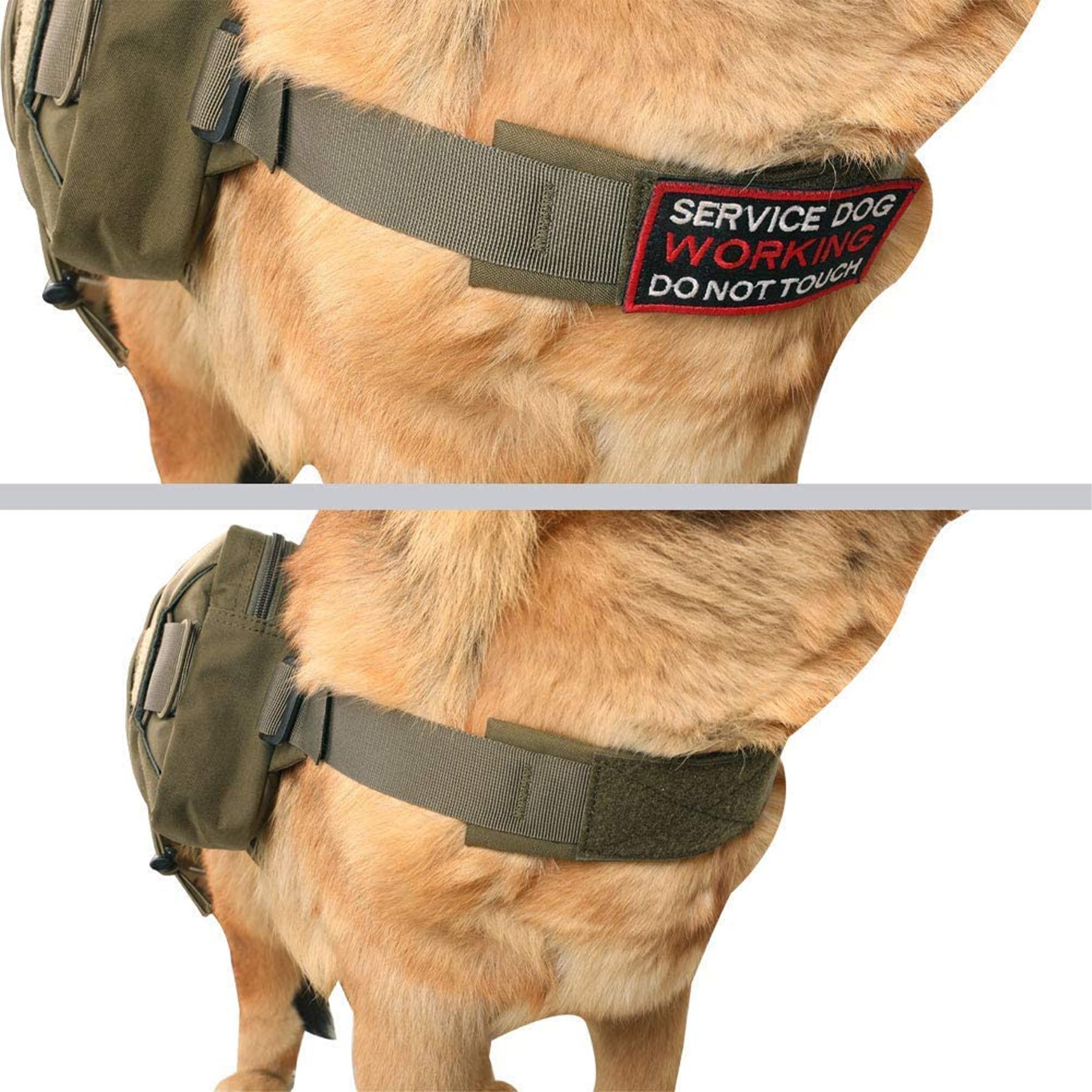 Excellent Elite Spanker Dog Pack Hound Dog Saddle Bag Backpack For Travel Camping Hiking Medium & Large Dog With 2 Capacious Side Pockets(Rgn)