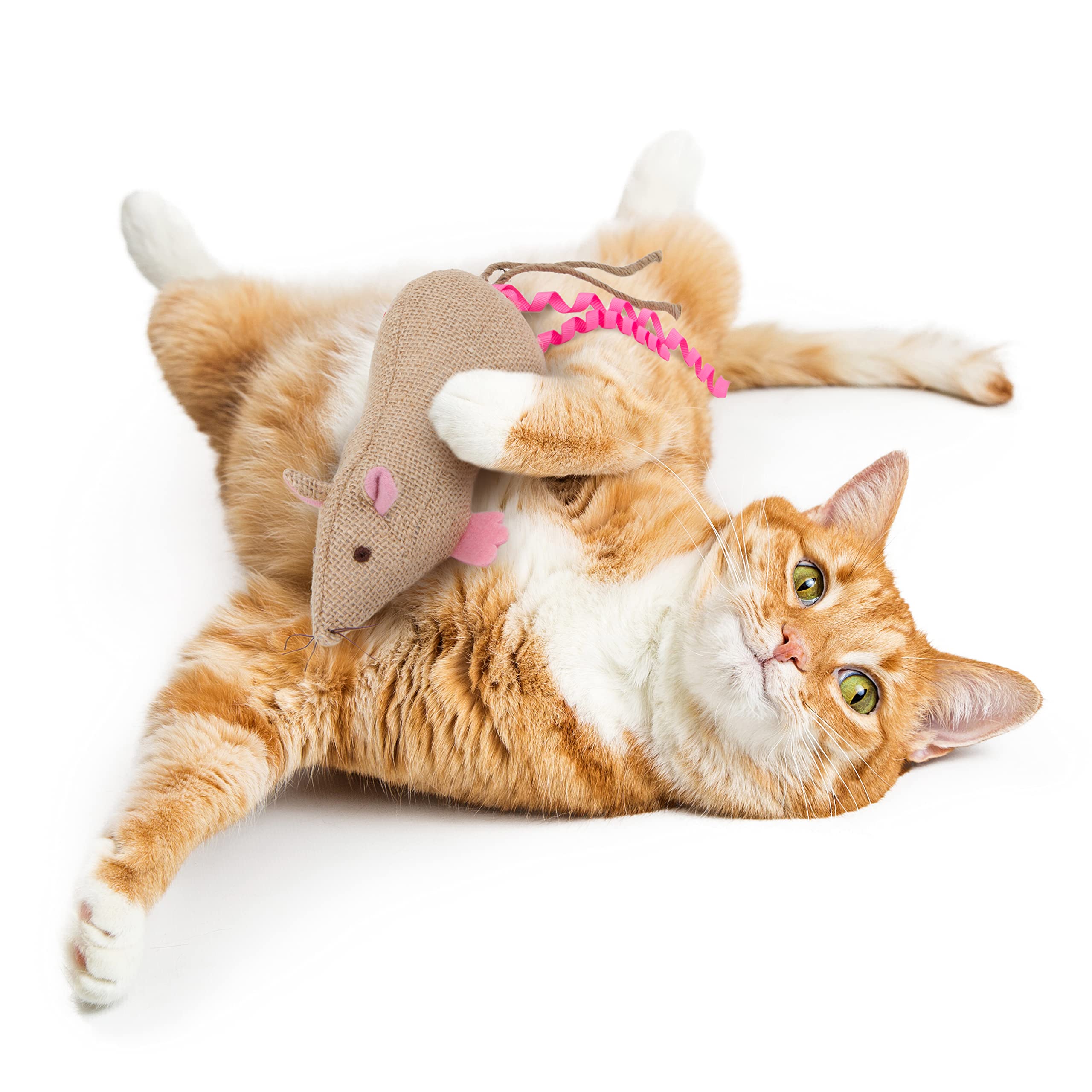 Petlinks Jeepers Creepers Refillable Kicker Cat Toy With Catnip Tube - Randomly Selected Color, One Size