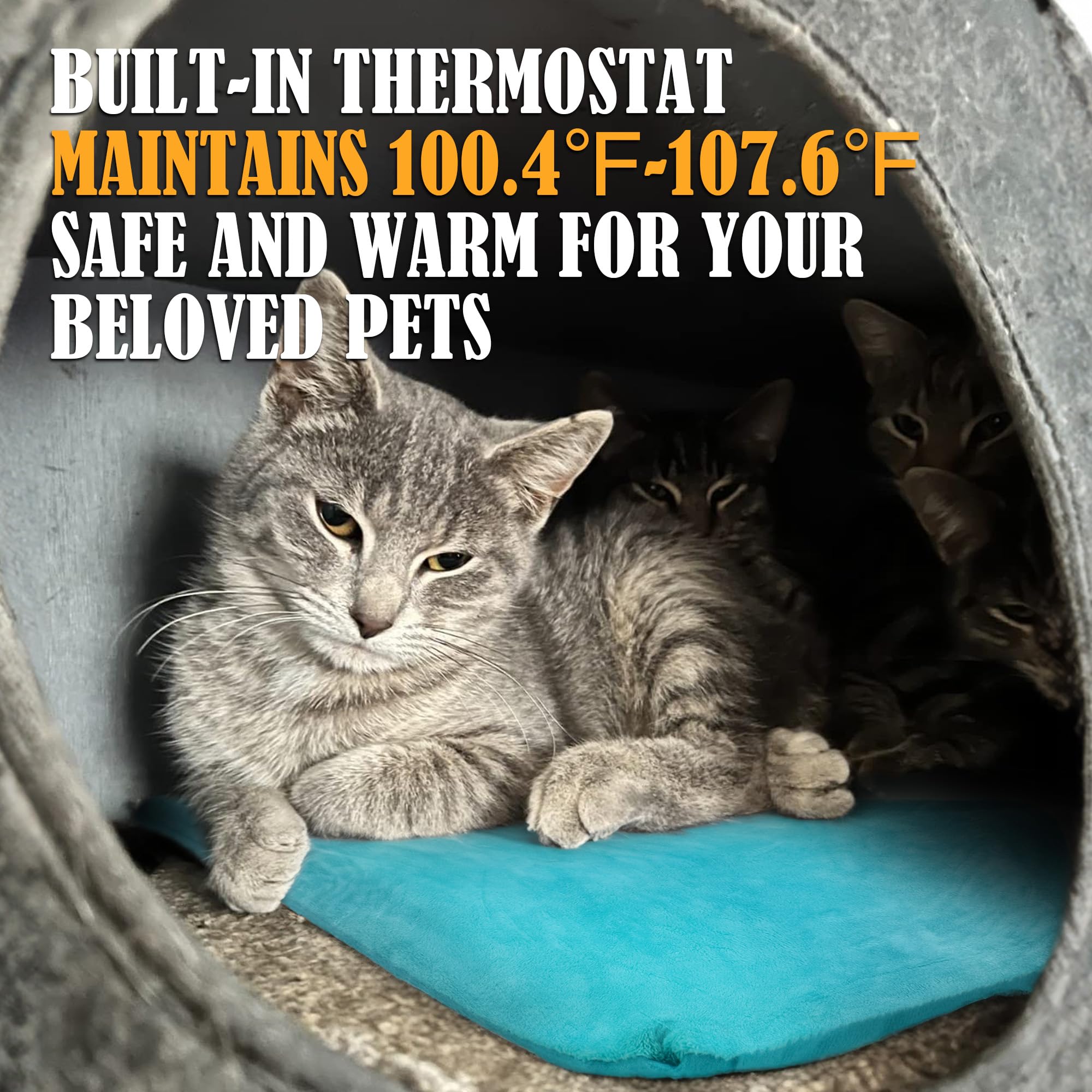 PETNF Outdoor Cat Heating Pad, Waterproof Electric Mat 28"x16", Light Blue, Safe for Feral Cats and Dogs, Model PF104-LBU-N