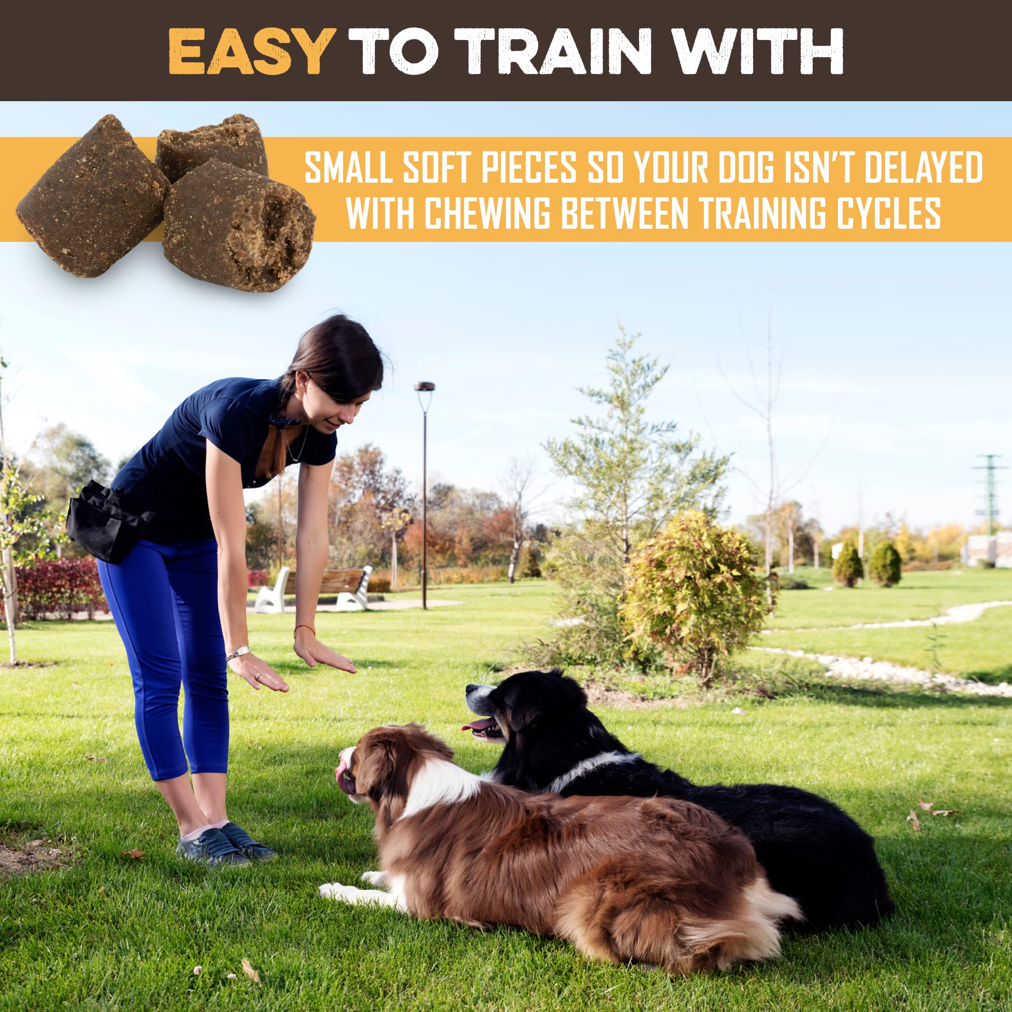 BRUTUS & BARNABY Training Treats for Dogs - Peanut Butter & Honey - All-Natural Healthy Low Calorie Vegetarian Treat - Great to