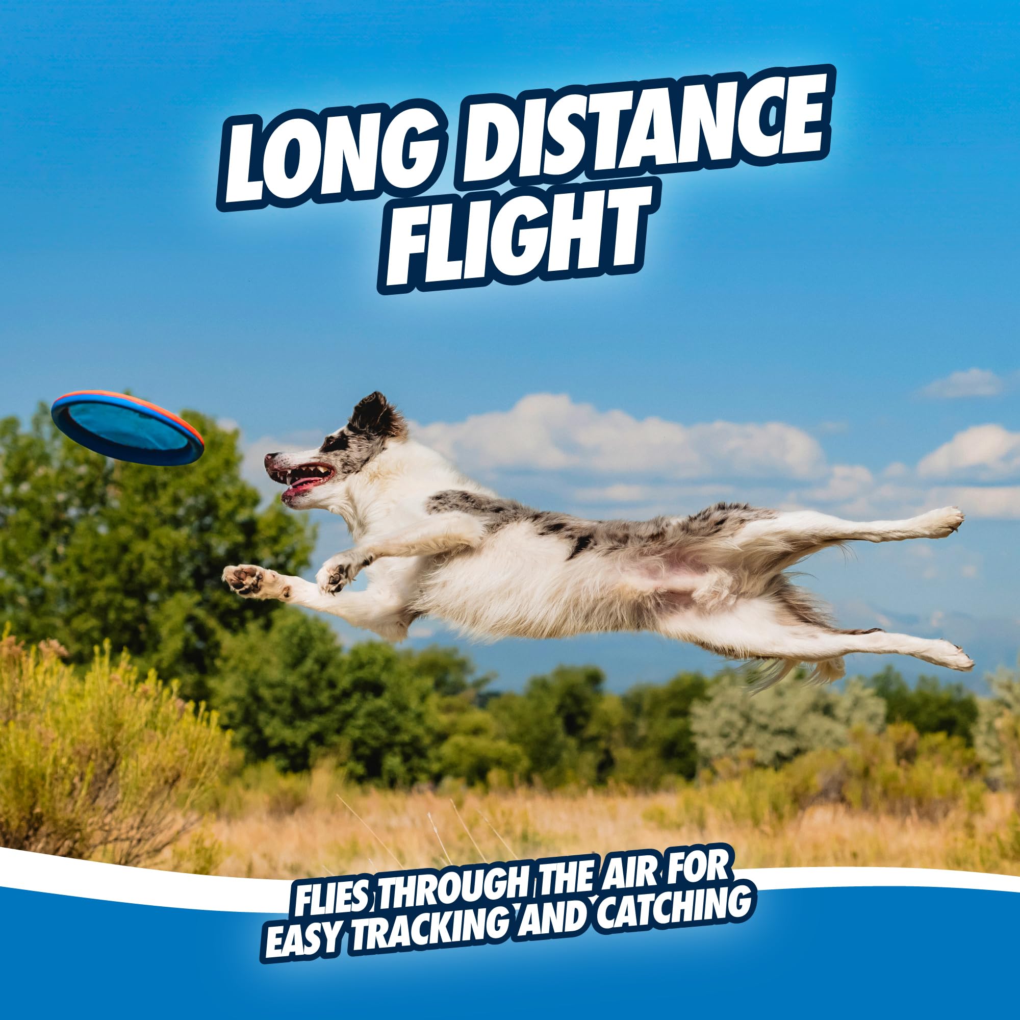 Chuckit! Max Glow Paraflight Flying Disc Dog Toy - Water Floating Flyer - Durable Nylon Construction With Soft Rubber Edges - For Medium And Large Dogs - Size Large - 9.75' L X 9.75' W - Pack Of 1