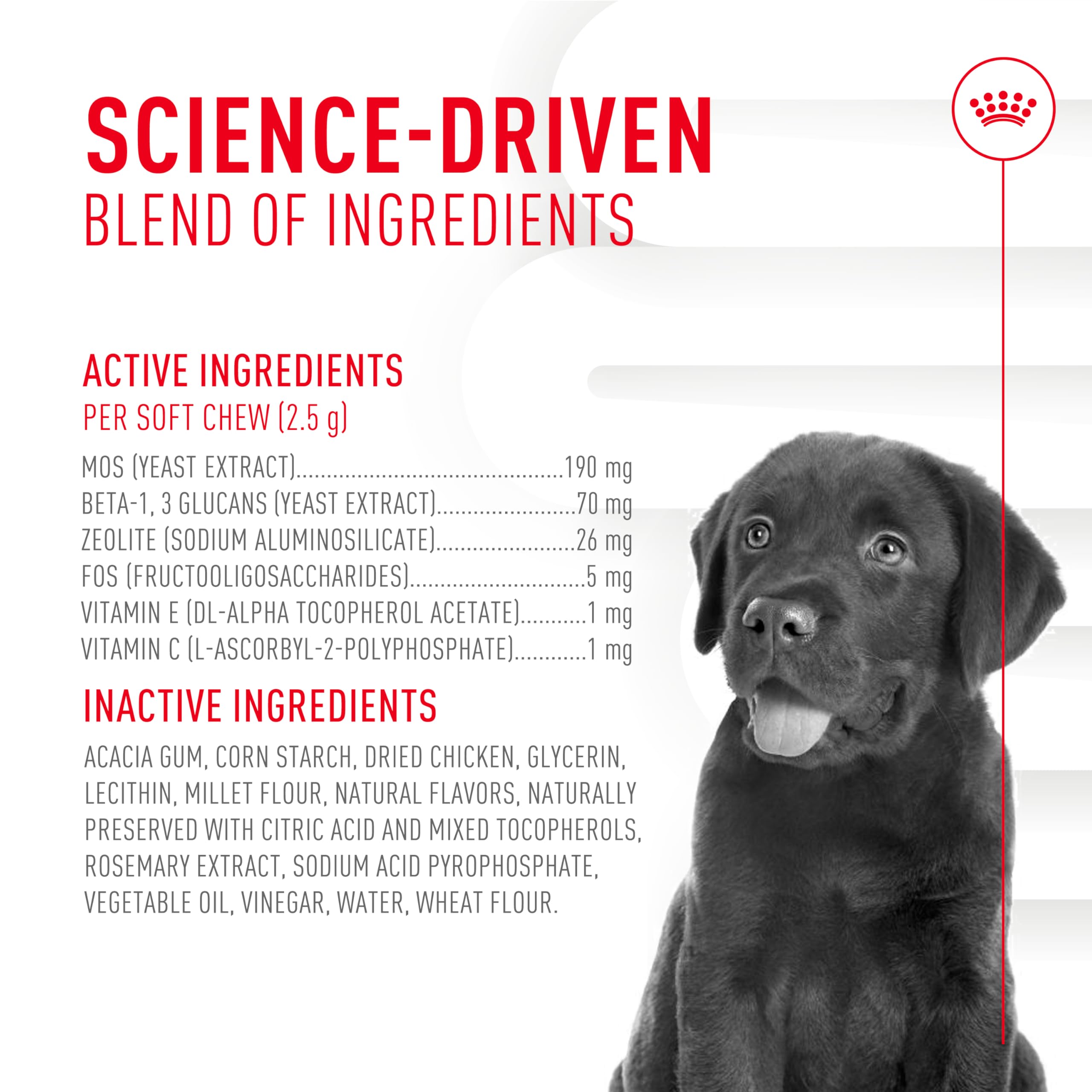 Royal Canin Puppy Supplement Immunity & Digestion Chew Pouch 5.29 oz (60 Count)
