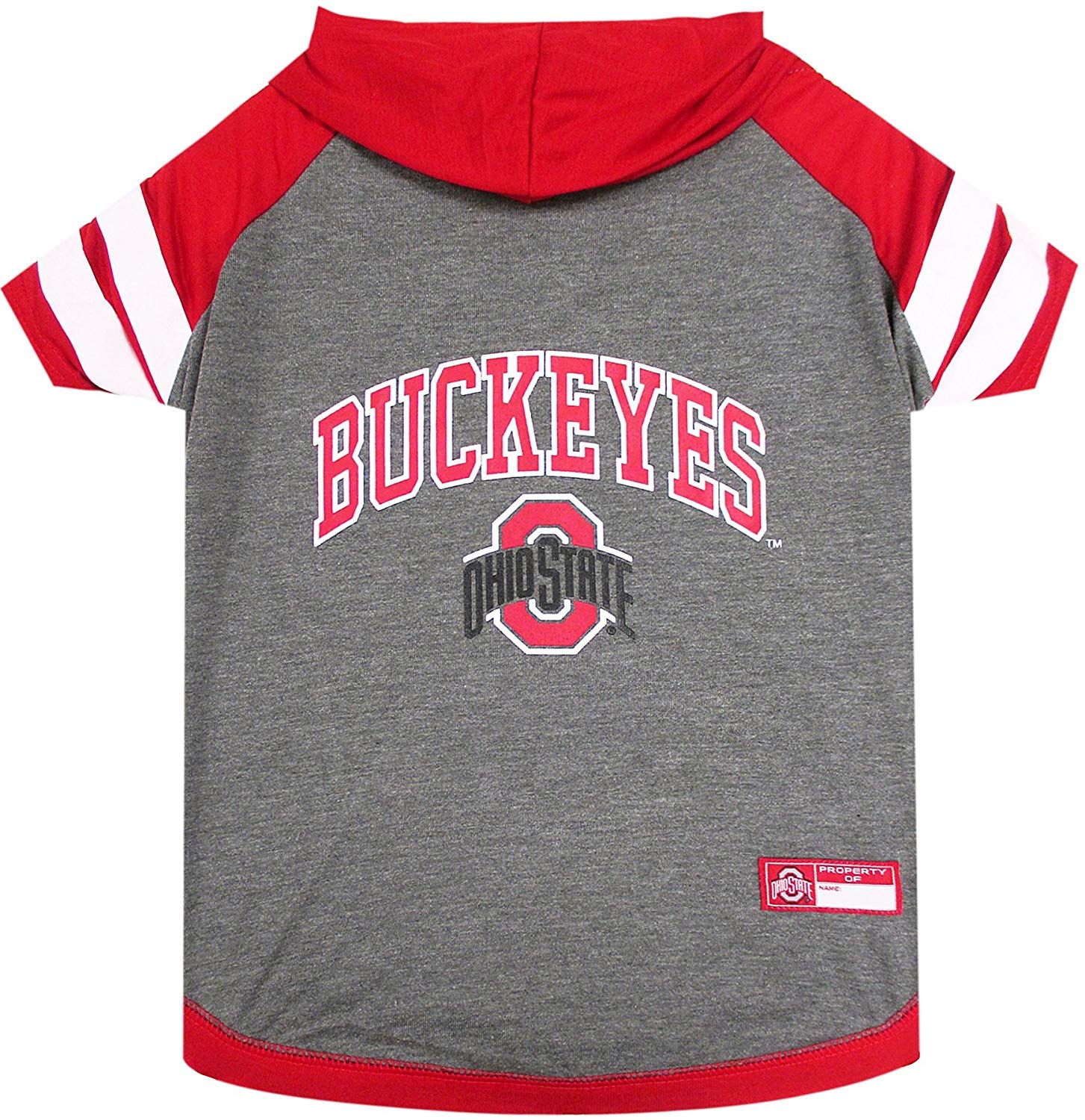 Ohio Hoodie Tee Shirt