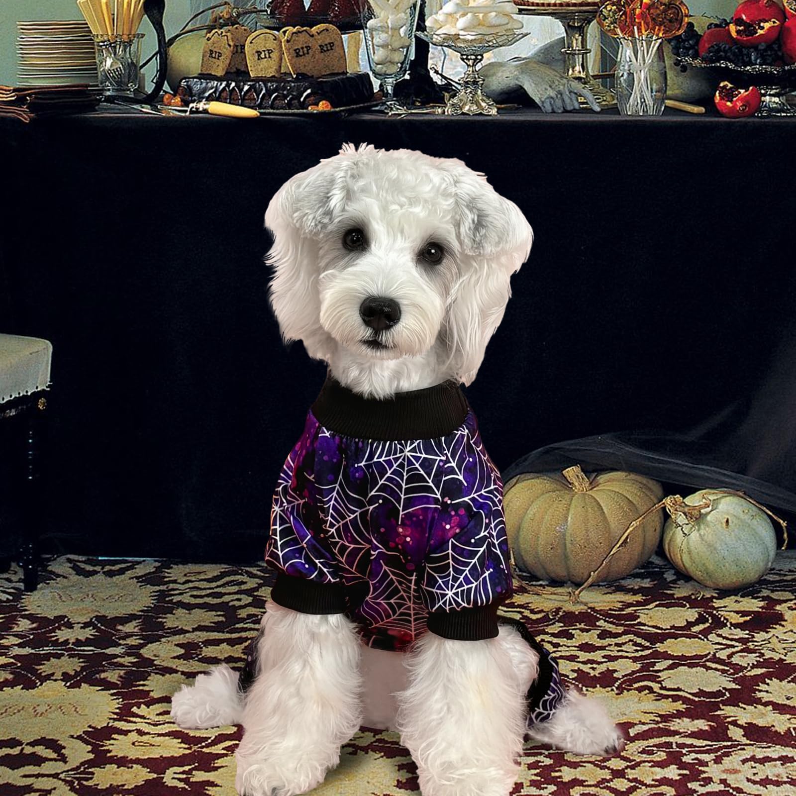 Xpudac Halloween Dog Pajamas For Small Medium Dogs Spider Puppy Costume Soft Pet Clothes Outfit Cat Jumpsuits