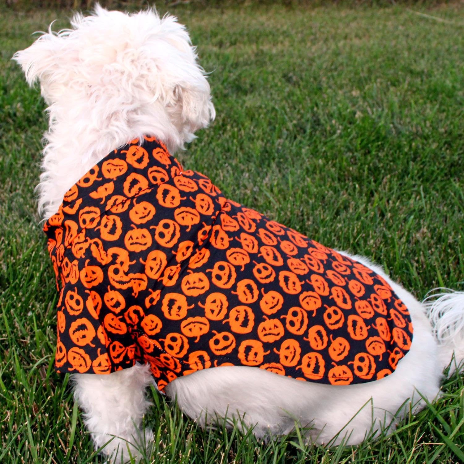 Halloween Jack-O-Lanterns (Xx-Small)