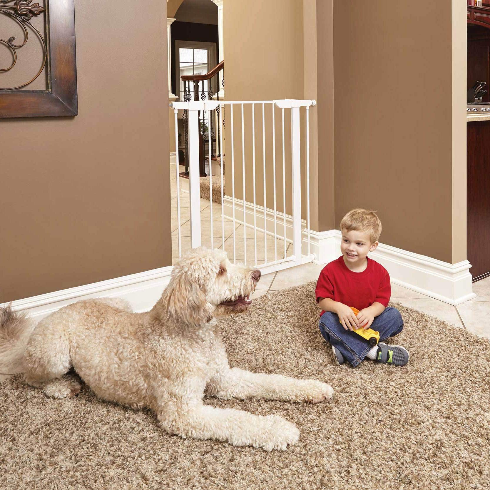 Midwest Homes For Pets 39 Inches Tall Walk-Through Steel Pet Gate, Pressure Mounted Dog Gate Measures 29 - 38 Inches Wide & Includes Two 3-Inch-Wide Extensions, White