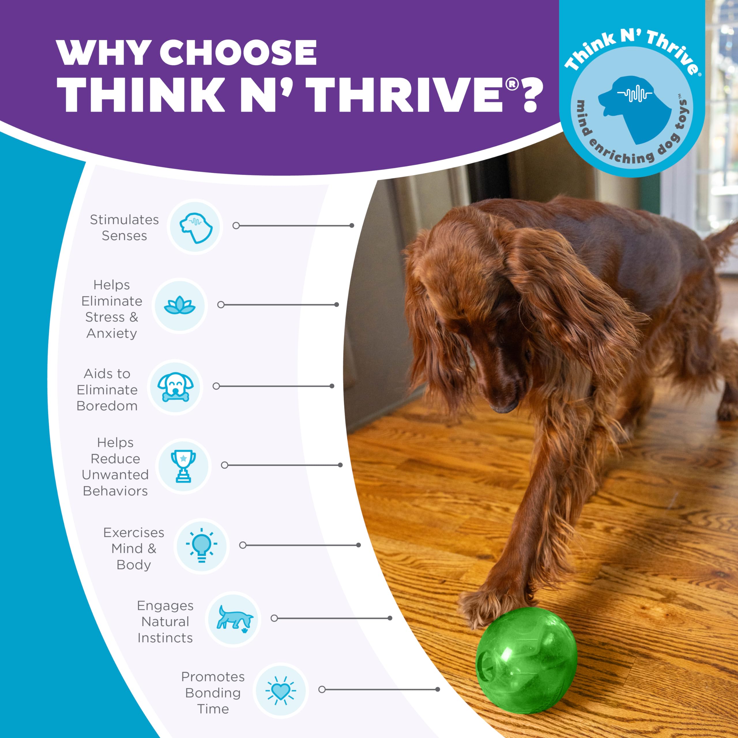 Outward Hound By Planet Dog Mazee Puzzle Ball Interactive Treat Dispensing Dog Toy, Green