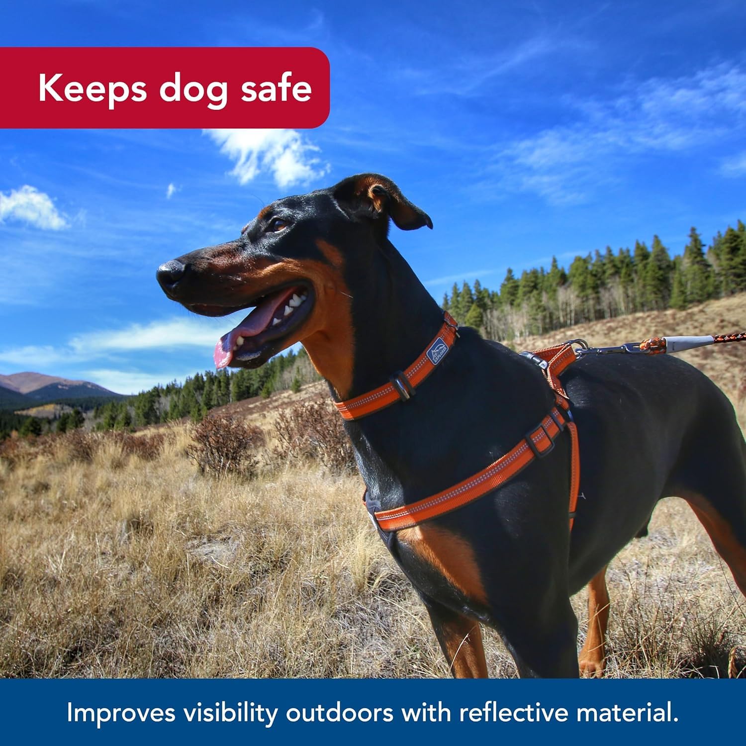 Coastal Pet K9 Explorer Reflective Adjustable Padded Dog Harness - Plush Chest Pad for Comfort - No-Pull Dog Harness for Small a