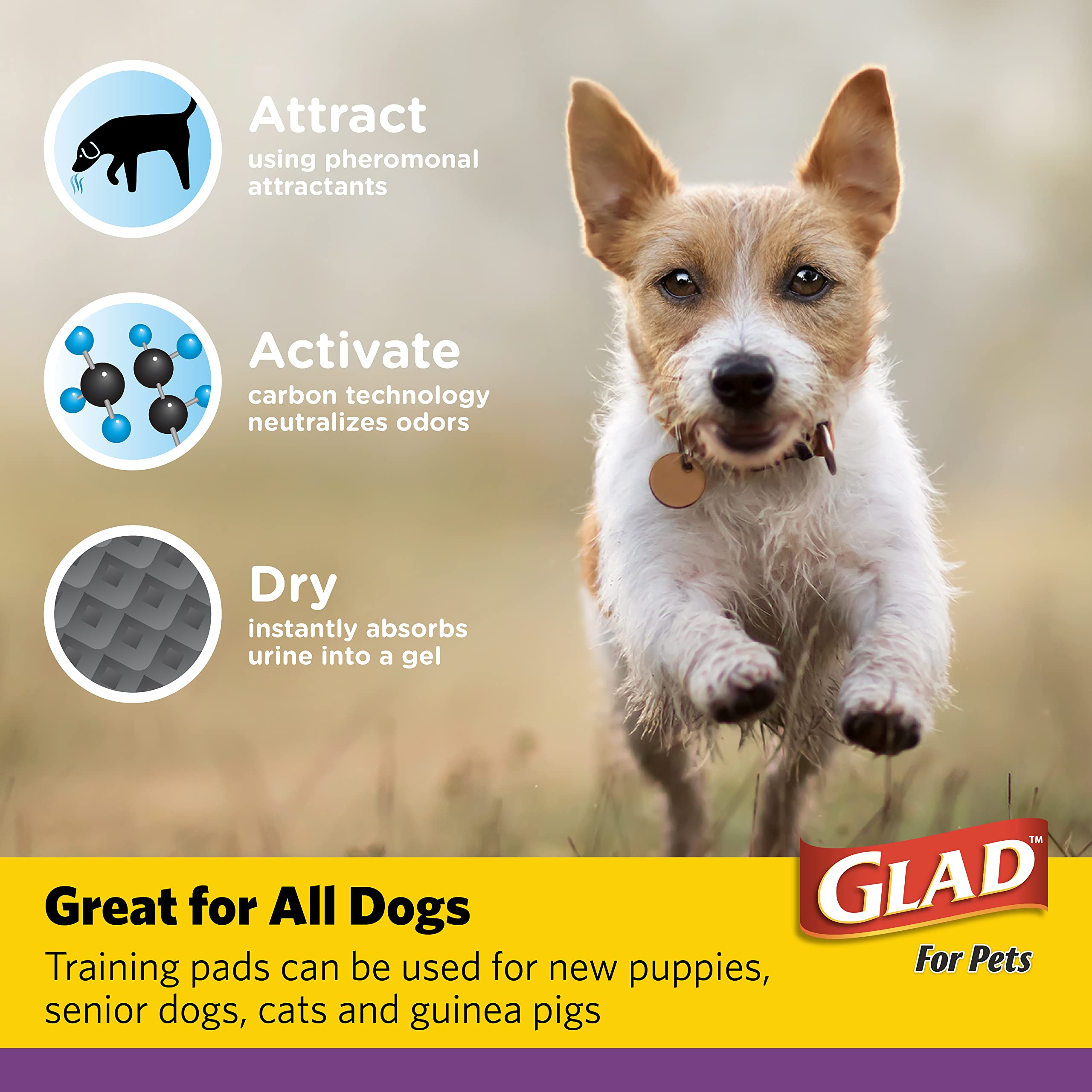 Glad Charcoal Puppy Pads - JUMBO-SIZE, Absorbent Training Pads, 180 Count, Model FF8882PCS6, Neutralizes Urine Instantly