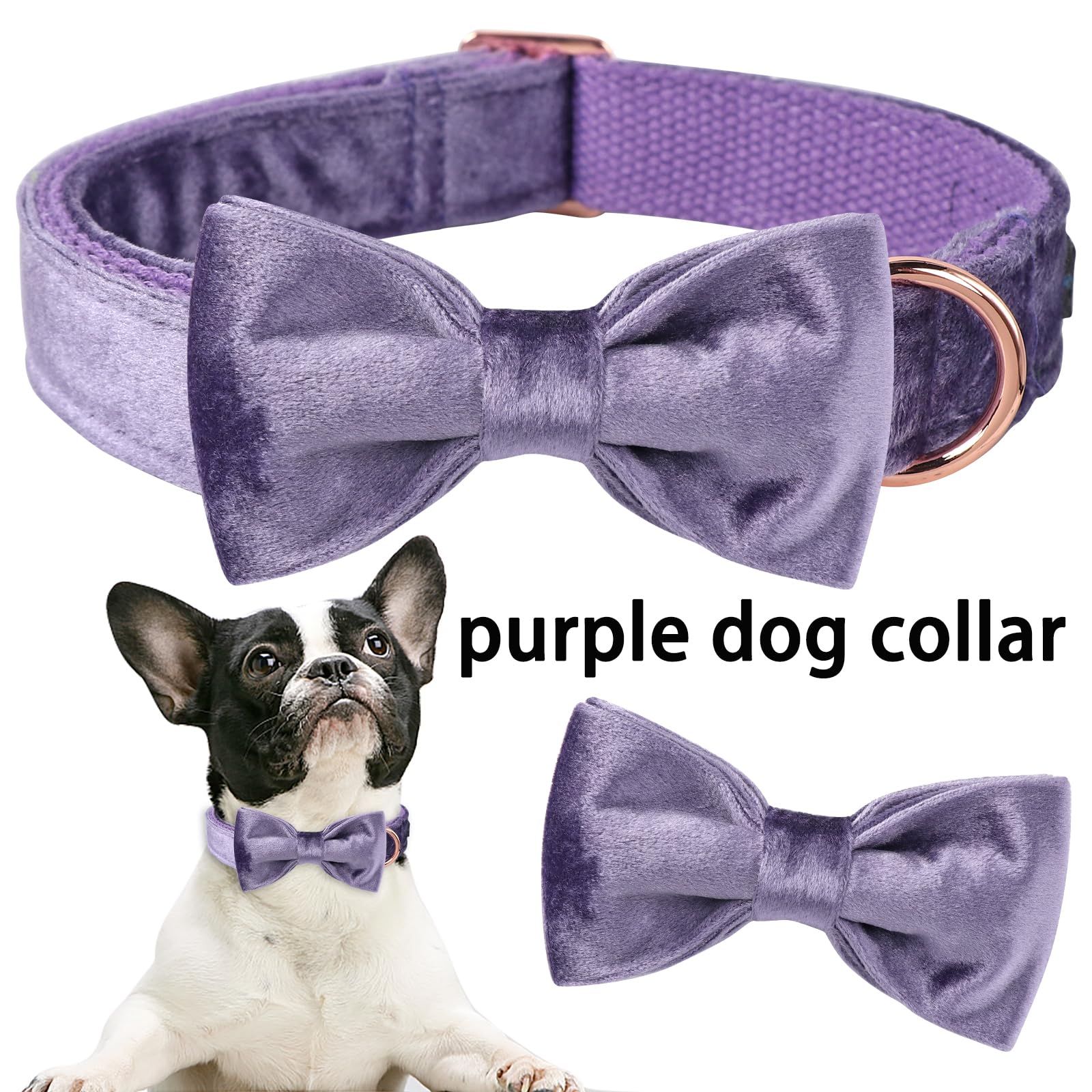 ARING PET Bowtie Dog Collar-Velvet Dog Collars with Removable Bowtie, Cute &Comfortable Purple Dog Collar,X-Small.