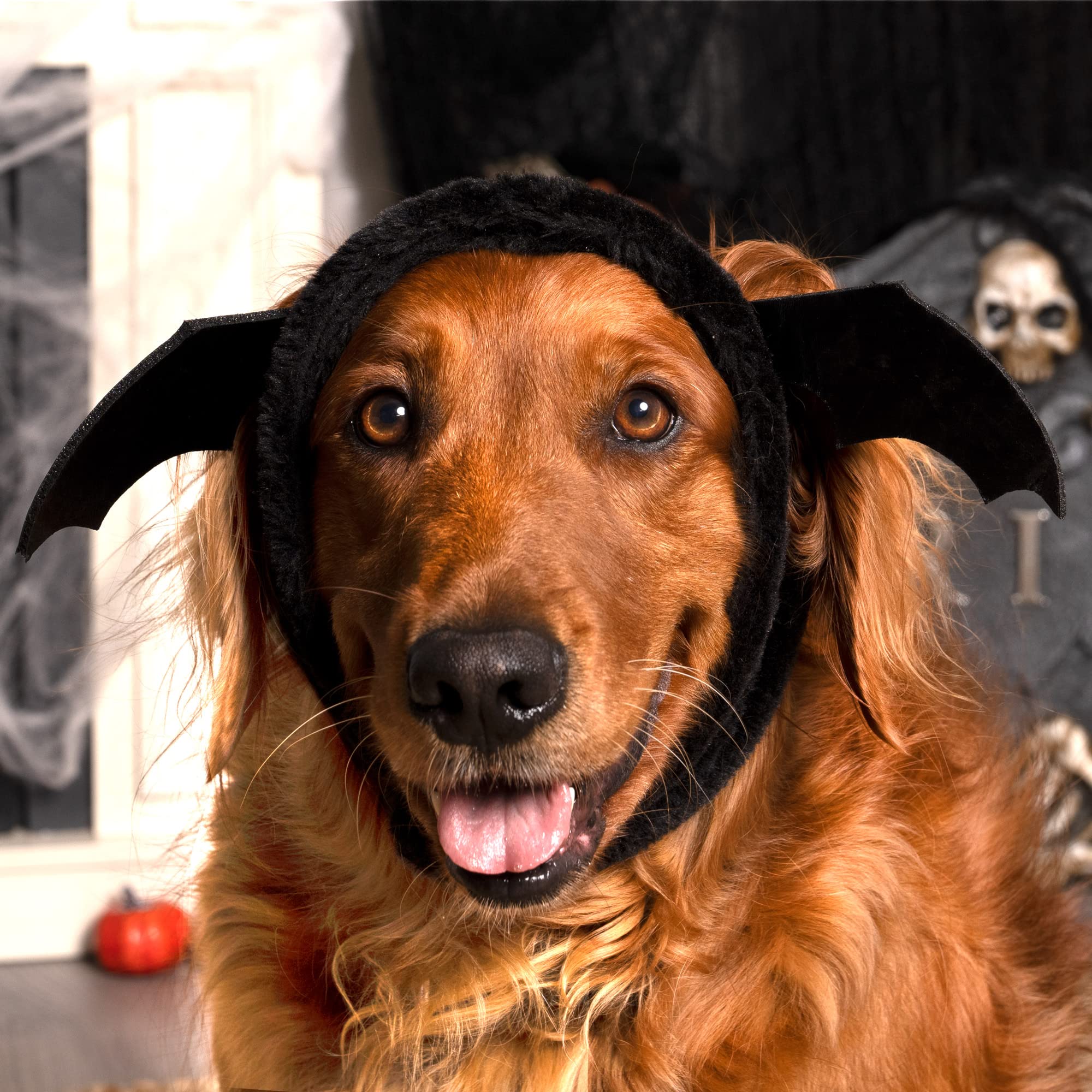 Furhaven Lg-Xl Dog Hat Flex-Fit Black Bat Plush Faux Fur Halloween Costume, Washable - Black, Large To X-Large