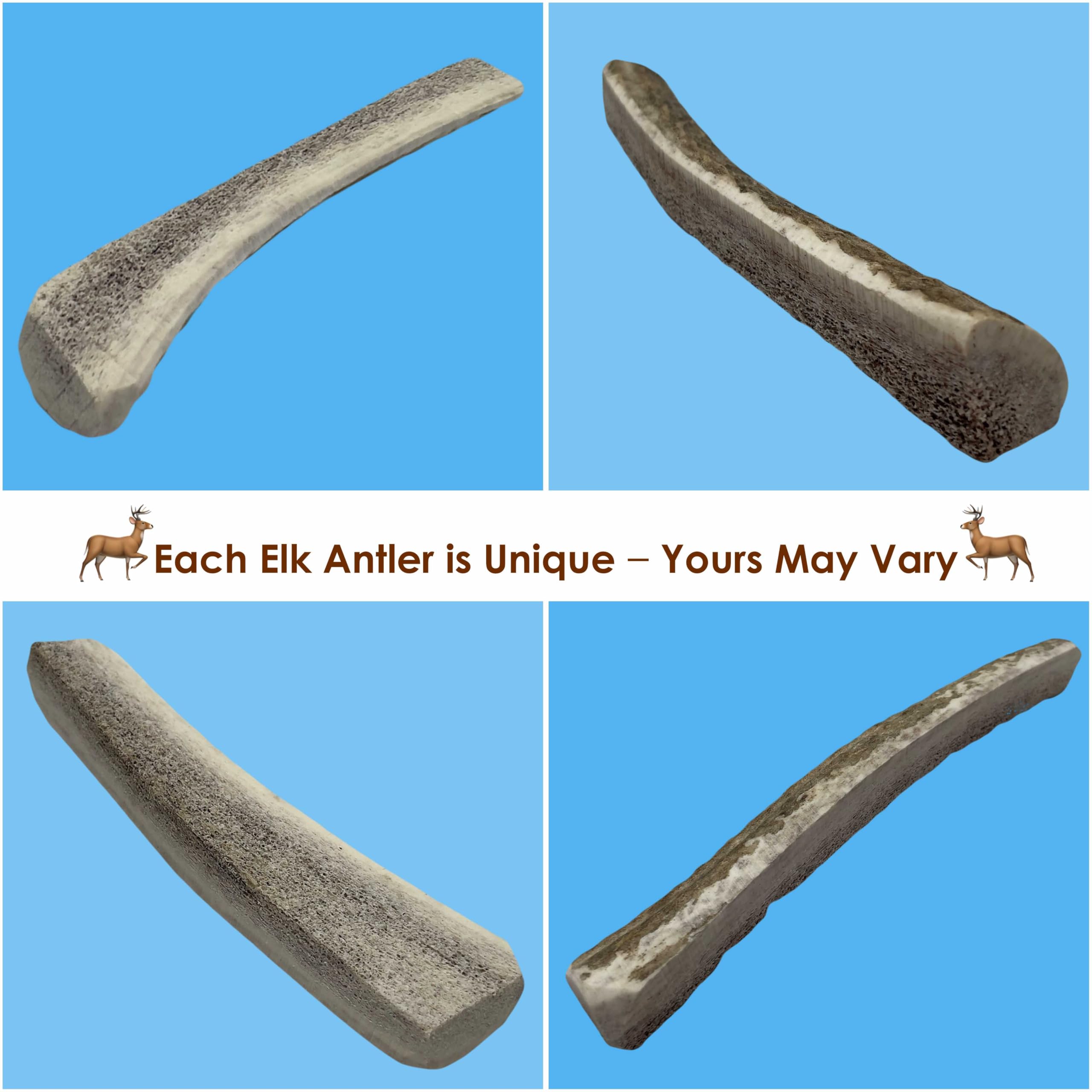 Deluxe Naturals 1-Pack Small Split Elk Antler Dog Chew (5 to 6.5+ in) - All Natural, Premium Grade A, Odor-Free, USA-Sourced - L