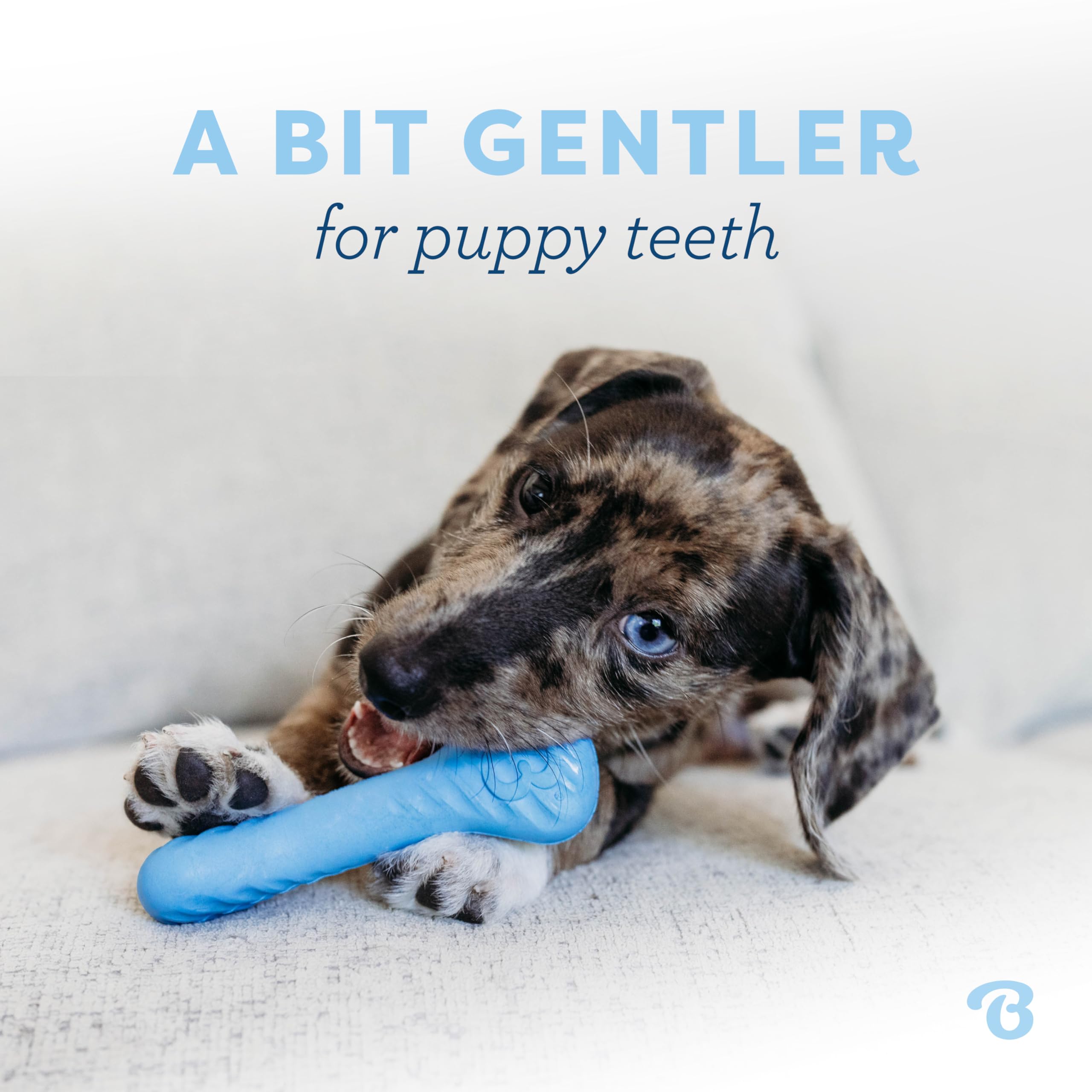 Benebone Puppy 2-Pack Rubber Bone/Wishbone Bacon Tiny