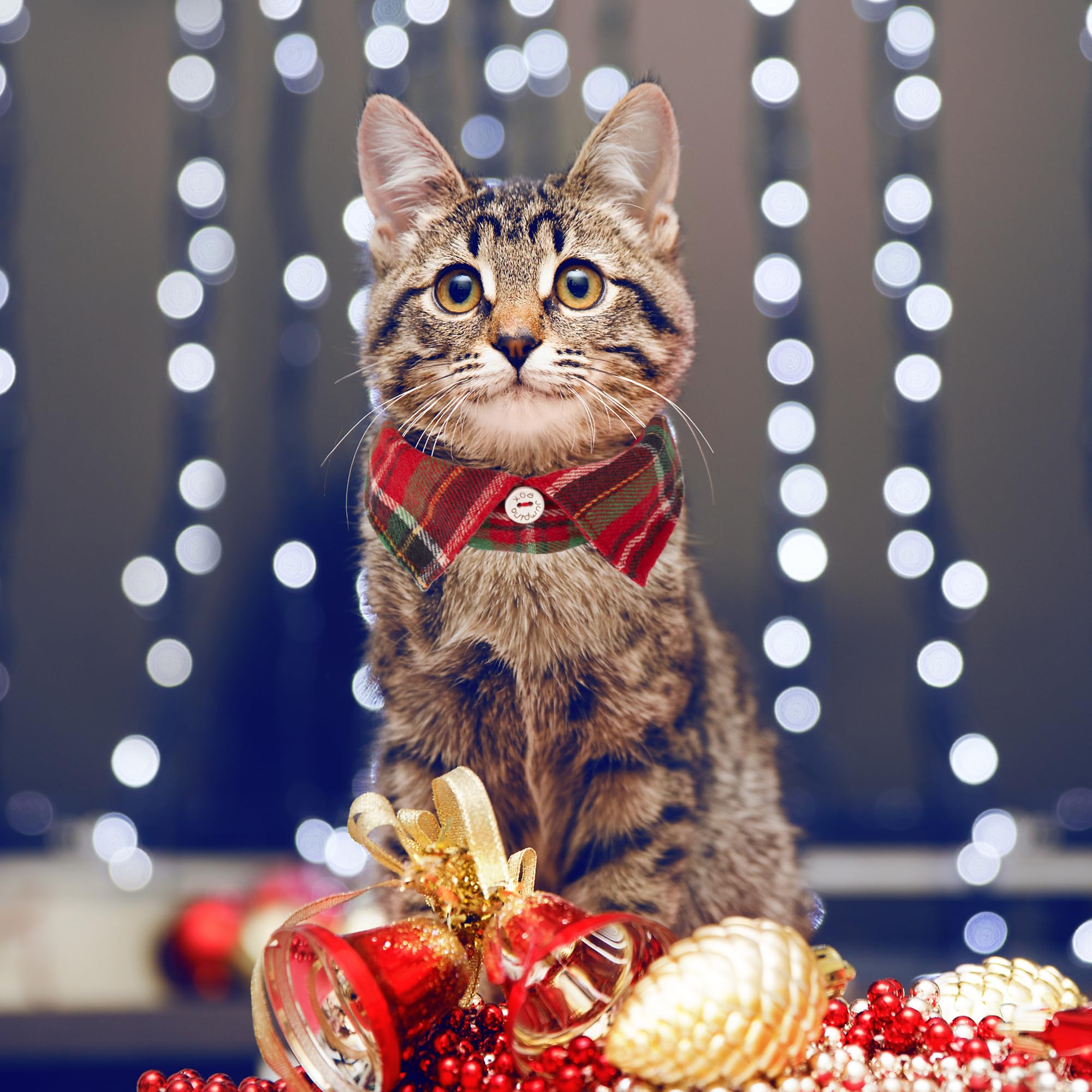Adoggygo Christmas Cat Collars Breakaway With Bow Bell, 2 Pack Stylish Red Green Plaid Xmas Kitten Collar With Removable Shirt C
