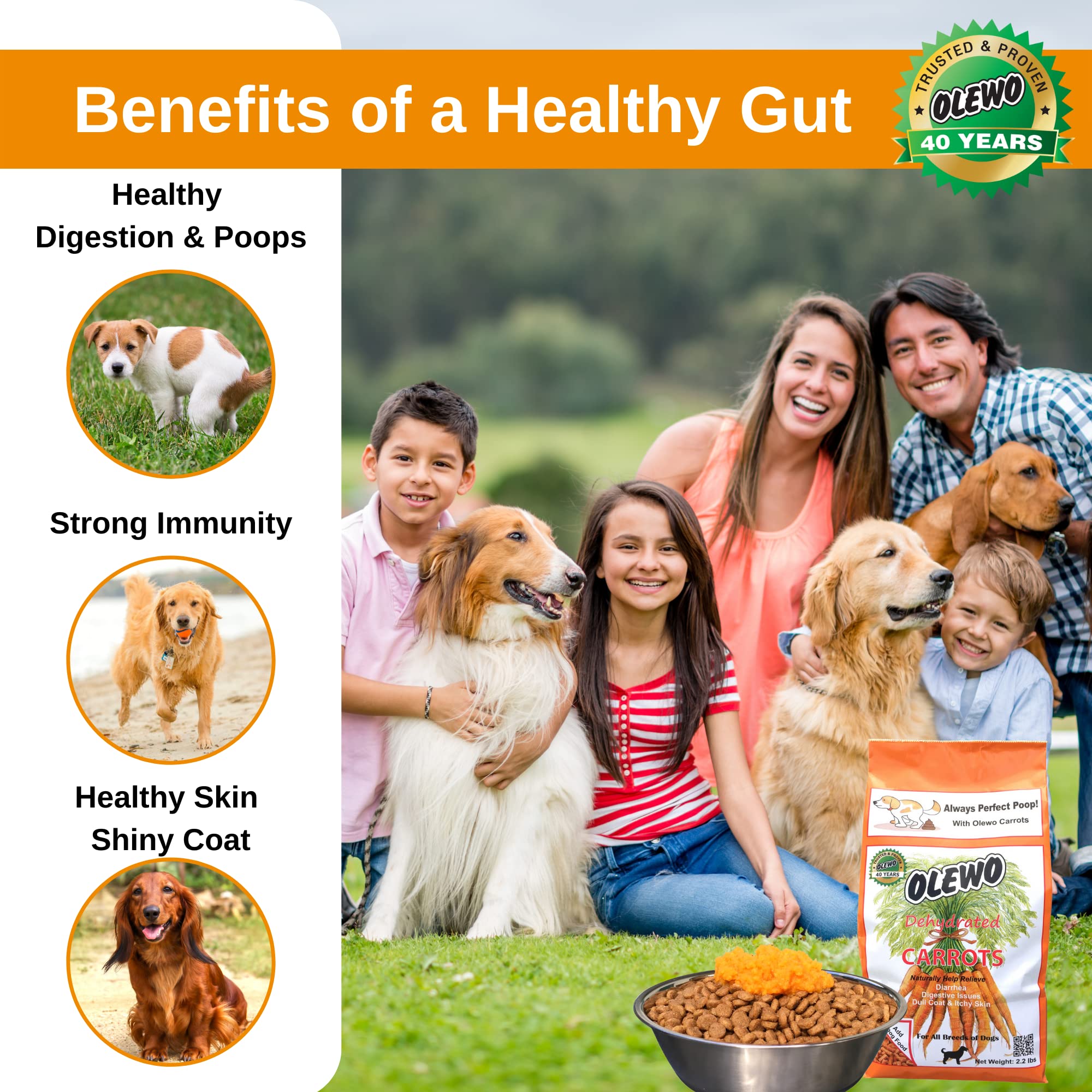 Olewo Original Carrots for Dogs - Fiber for Dogs Keep Poop Firm, Digestive Dog Food Topper, Skin & Coat Support, Dehydrated Whol