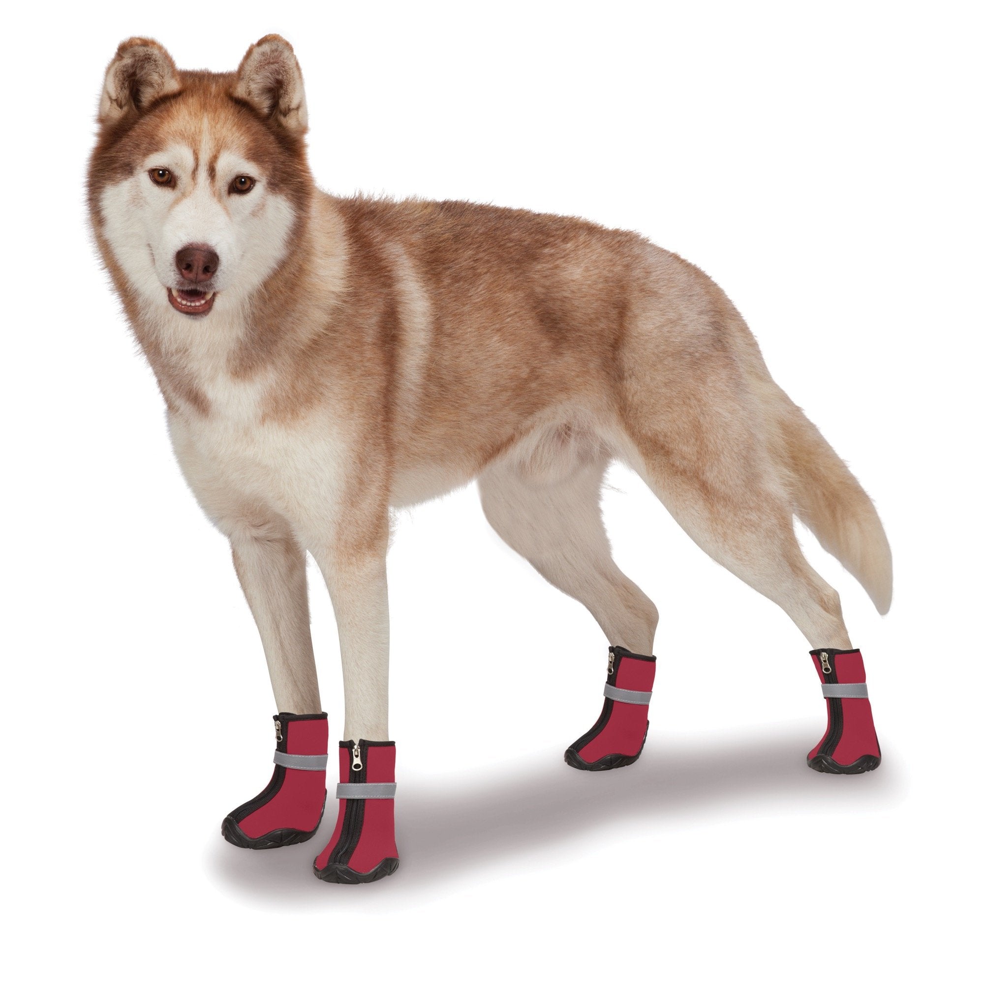 Zack & Zoey ThermaPet Neoprene Boots, Red, Medium