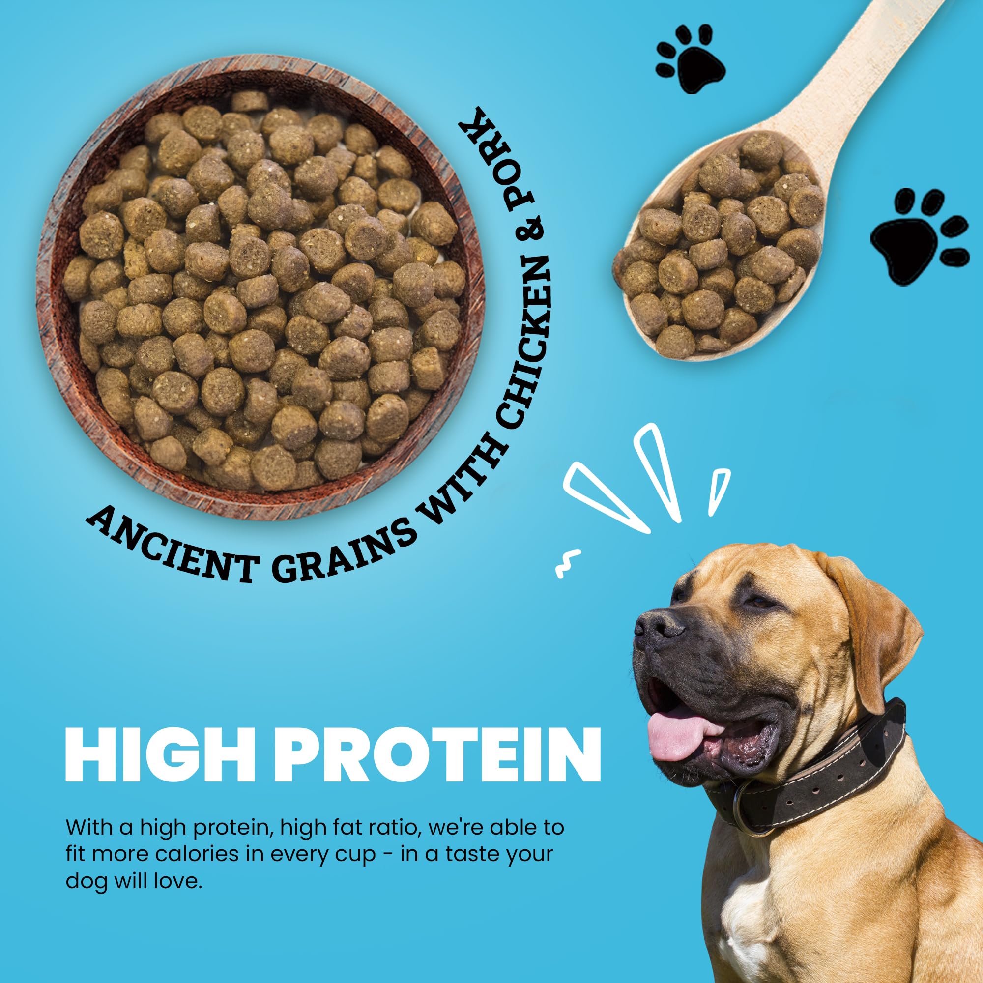 Muenster Ancient Grains Chicken & Pork Dry Dog Food, 4lb - Gluten-Free, High Protein, Digestive Support