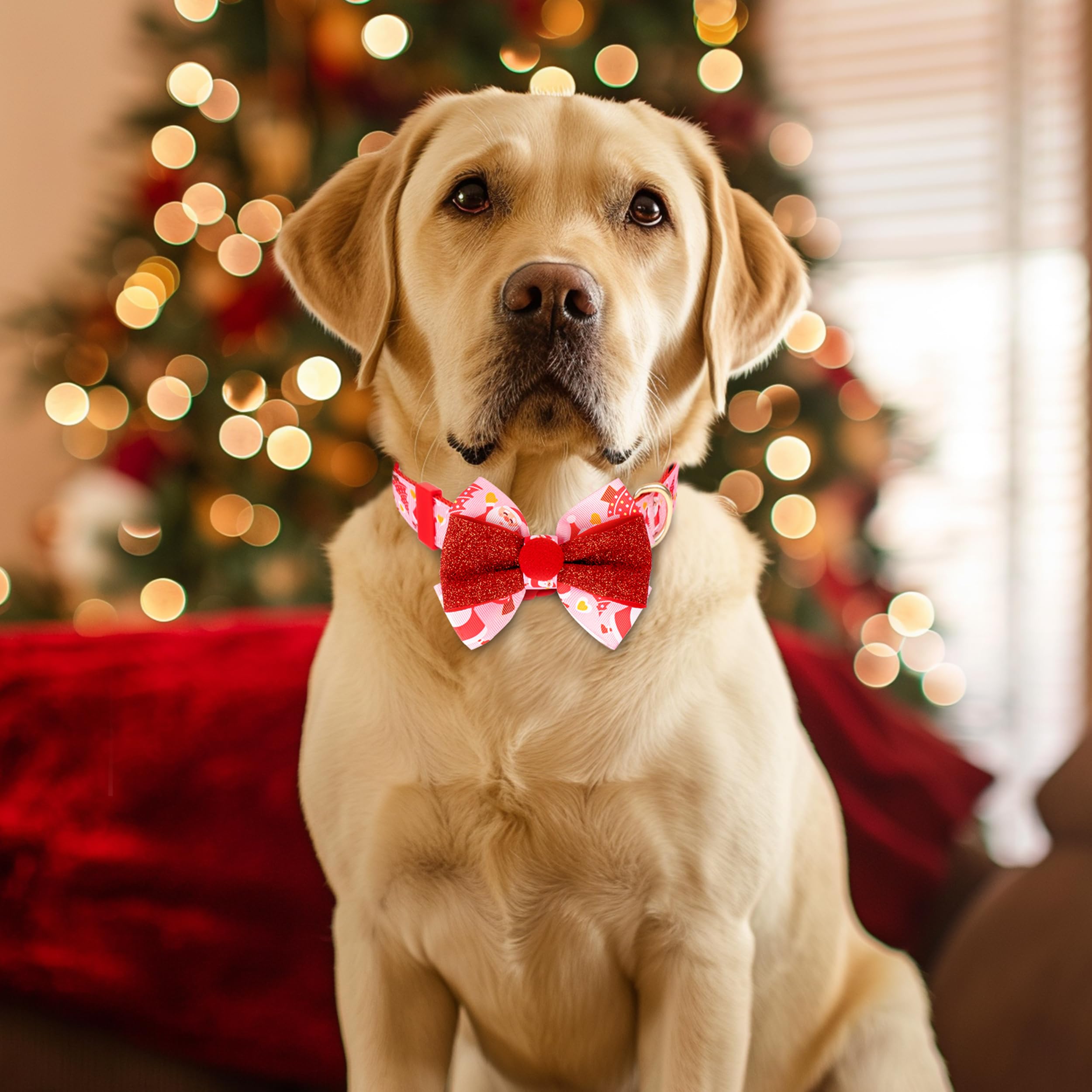 Azuza Christmas Dog Collar Santa Print With Removable Red And Pink Bowtie, Adjustable Collar Accessory For Large Dogs