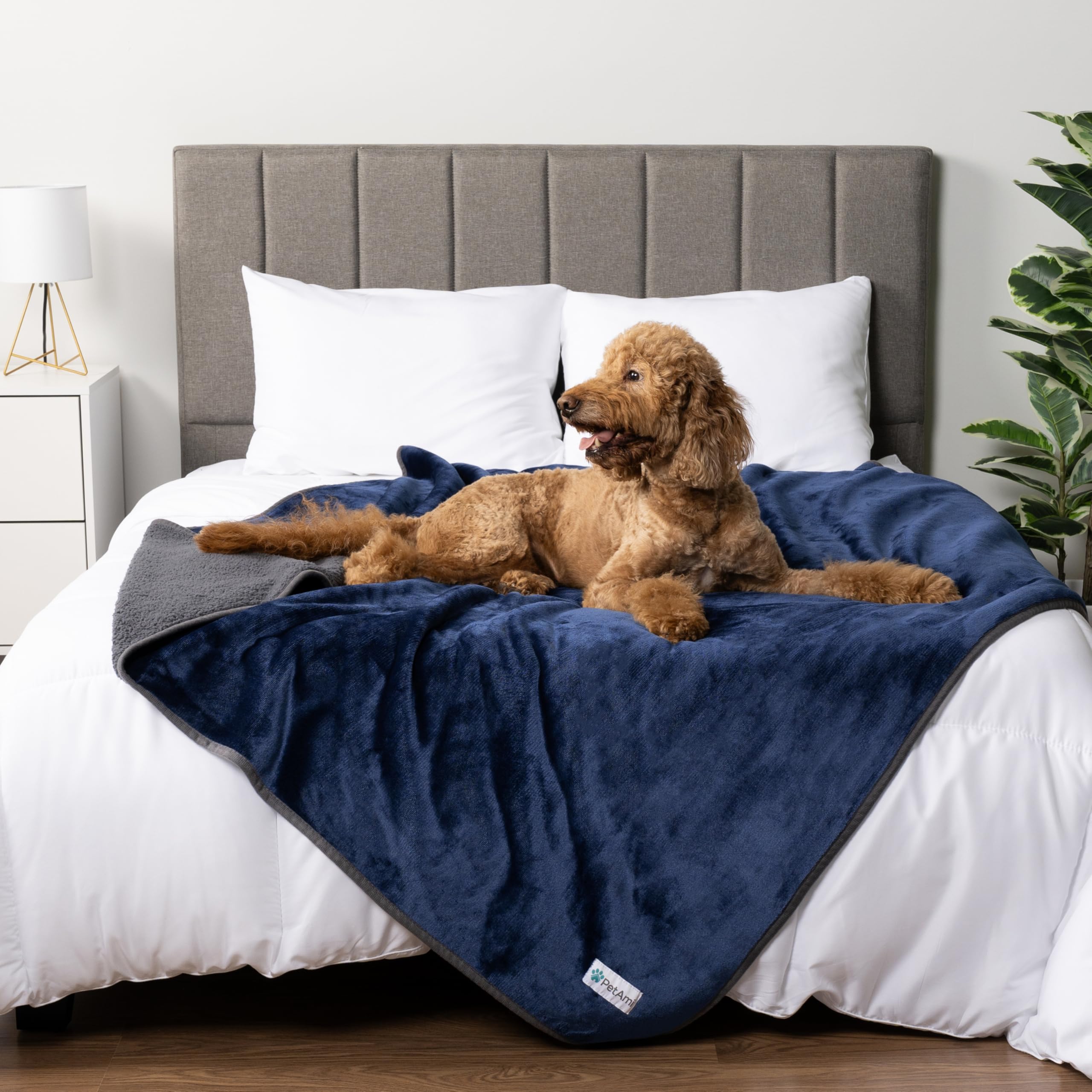 Petami Waterproof Dog Blanket For Medium Large Dogs, Pee Proof Pet Blanket For Bed Couch, Reversible Water Proof Blanket For Puppy Indoor Cat, Soft Dog Pee Crate Cover Washable, 60X80 Navy/Gray