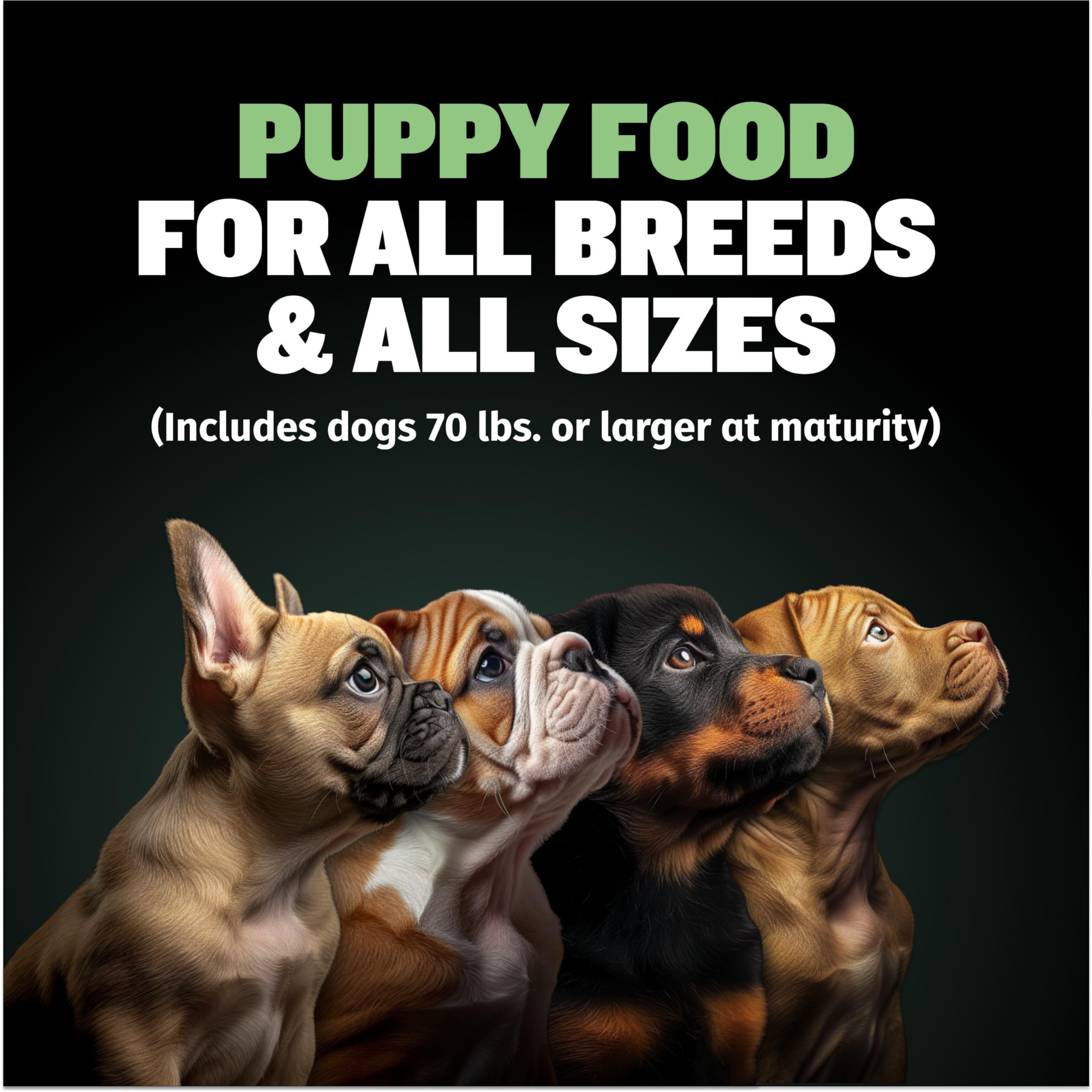 Bully Max Puppy Food 24/14 High Protein & Growth Formula - Dry Dog Food with Lamb and Rice for Small Dogs and Large Breed Puppie