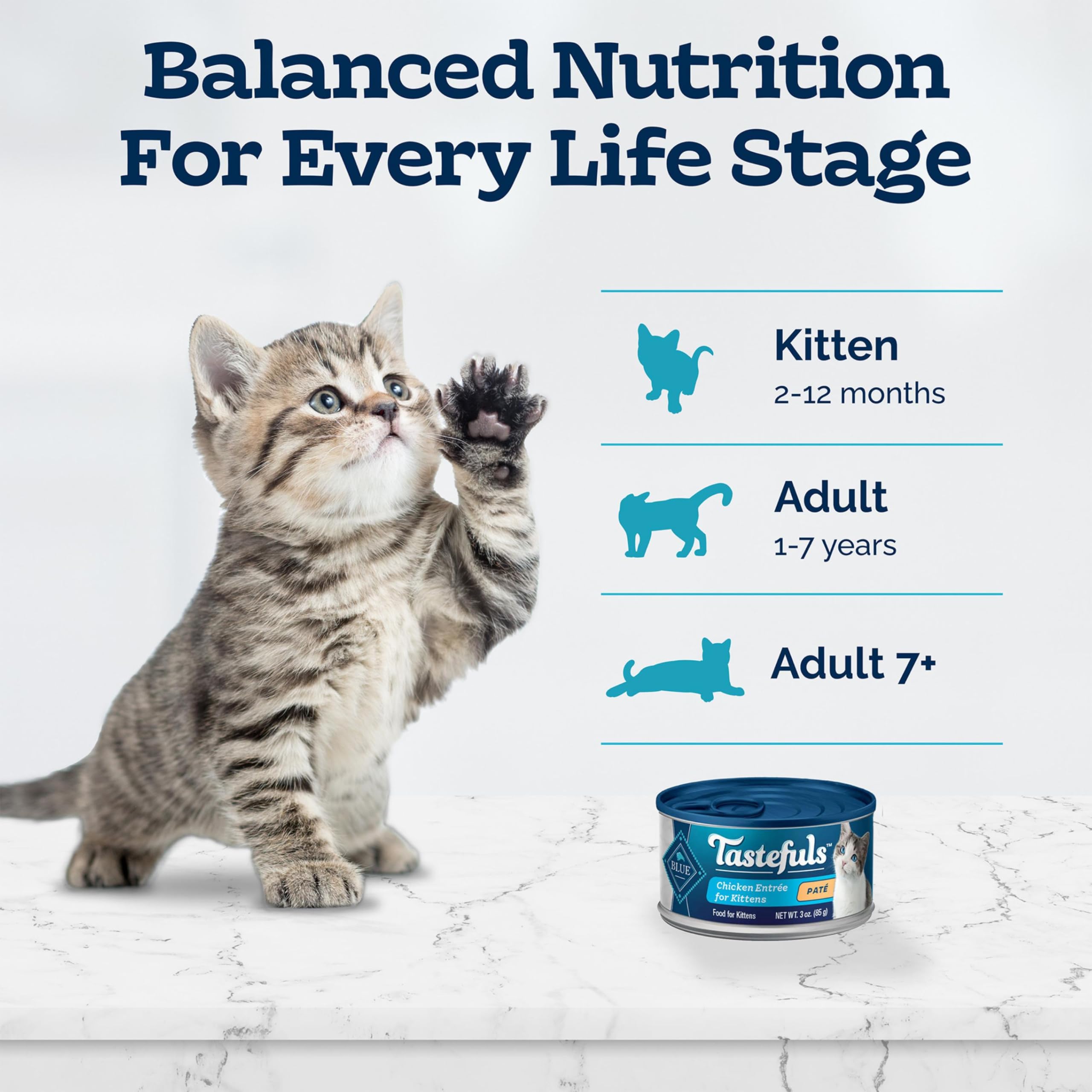 Blue Buffalo Tastefuls Wet Cat Food Pat   for Kittens, Made with Natural Ingredients | Chicken Entr  e, 3-oz. Cans (24 count )