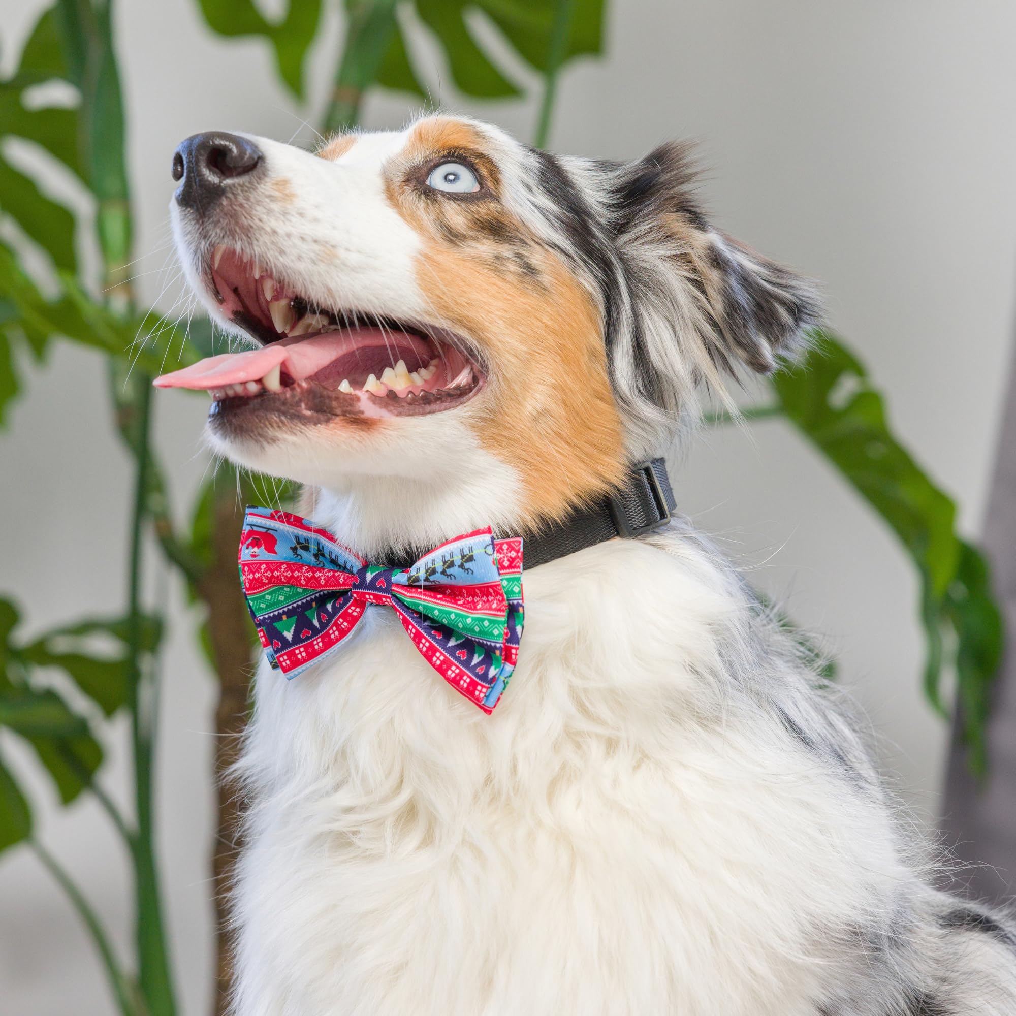Huxley & Kent Bow Tie For Pets | Ugly Sweater (Large) | Christmas Holiday Bow Tie Collar Attachment | Fun Bow Ties For Dogs & Ca