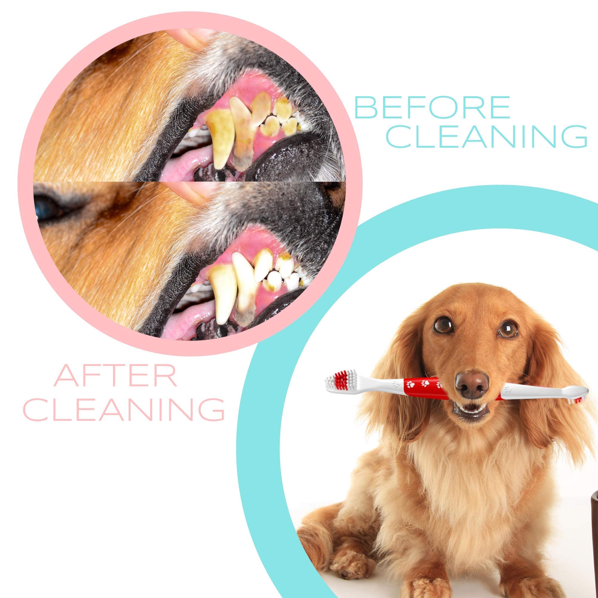 Pets & Pupps Pet Toothbrush for Dogs & Cats, Soft Bristles, Non-Slip Dual Head, Pack of 1, White & Red