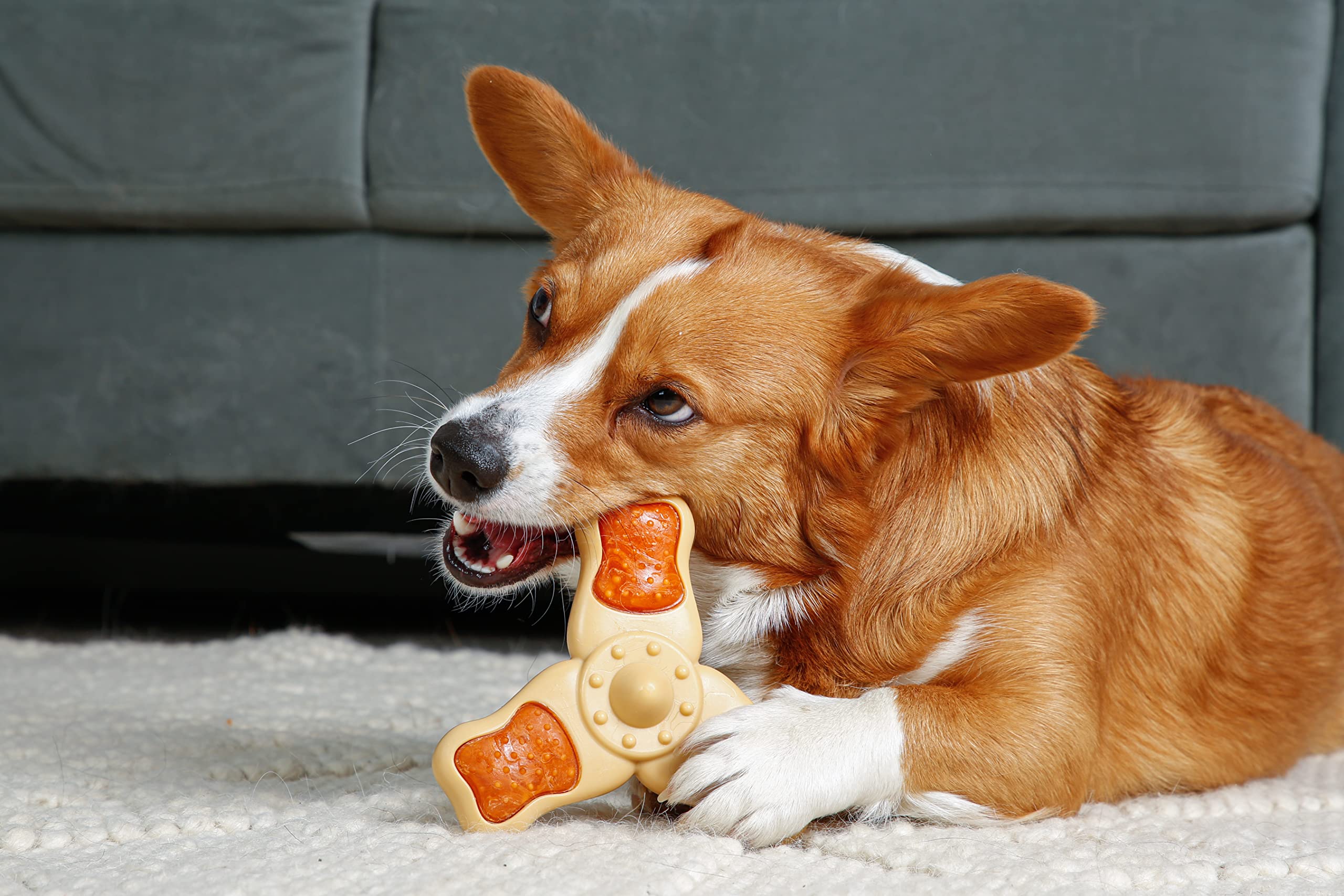 Hartz chew An clean chew Toy and Treat in One chicken Flavored Tri-Point Dog Toy, Medium